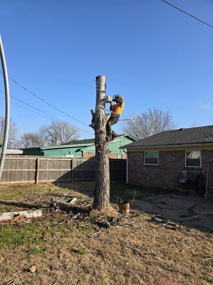  for Oklahoma Tree Guy in Bartlesville, OK