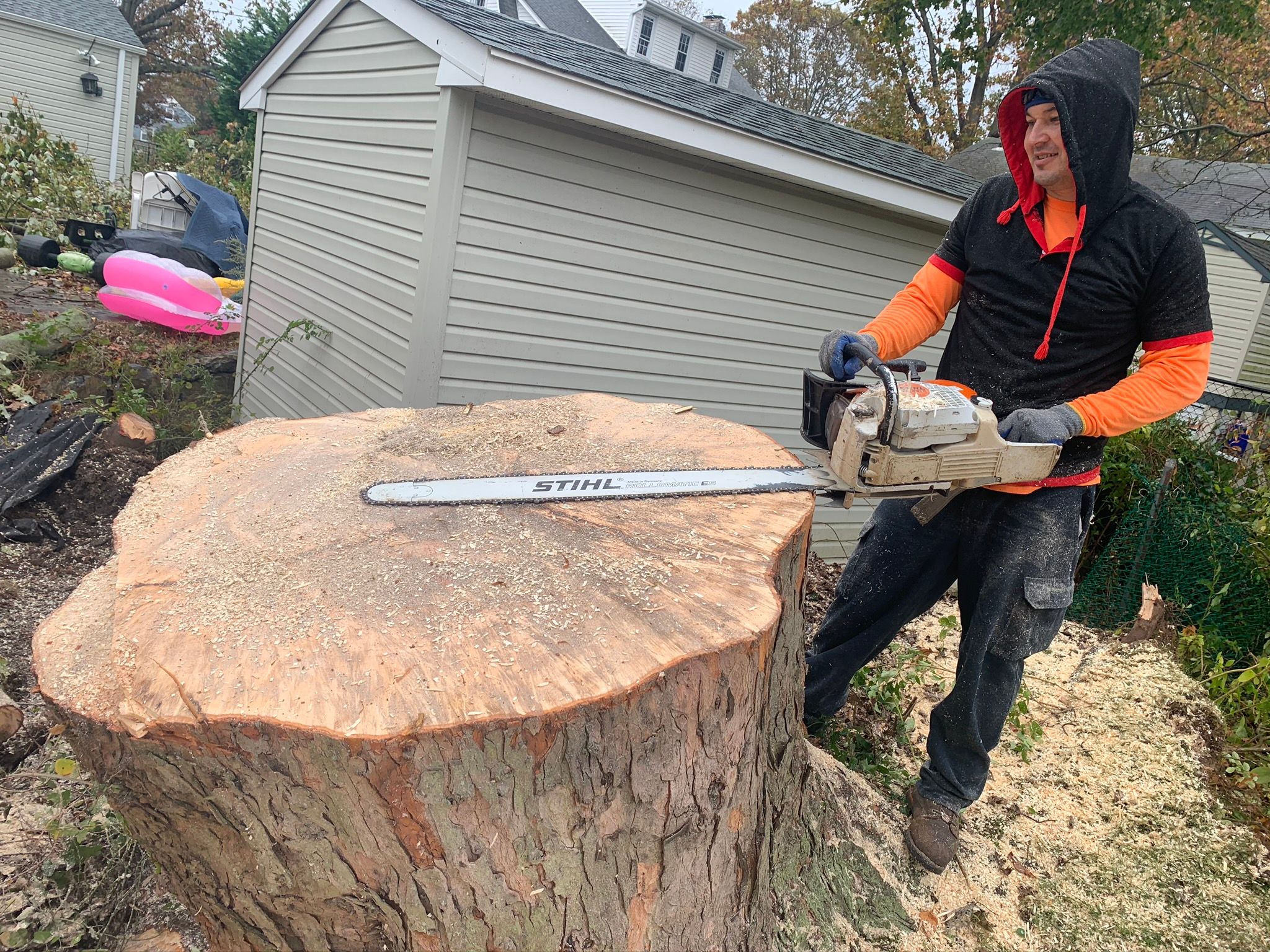  for Mr Timber in Ocala, FL