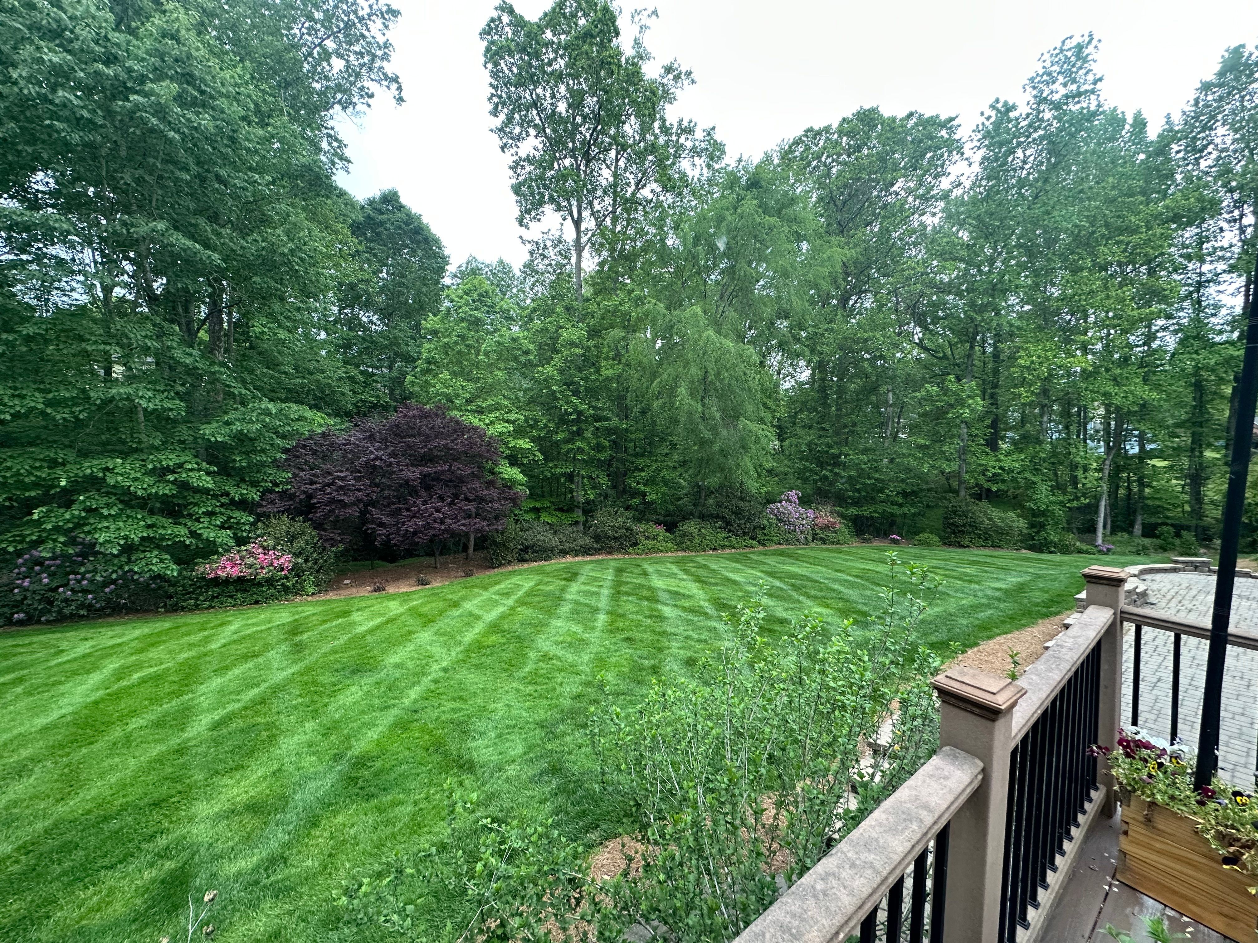  for Pecina Pine Needles in Monroe, NC