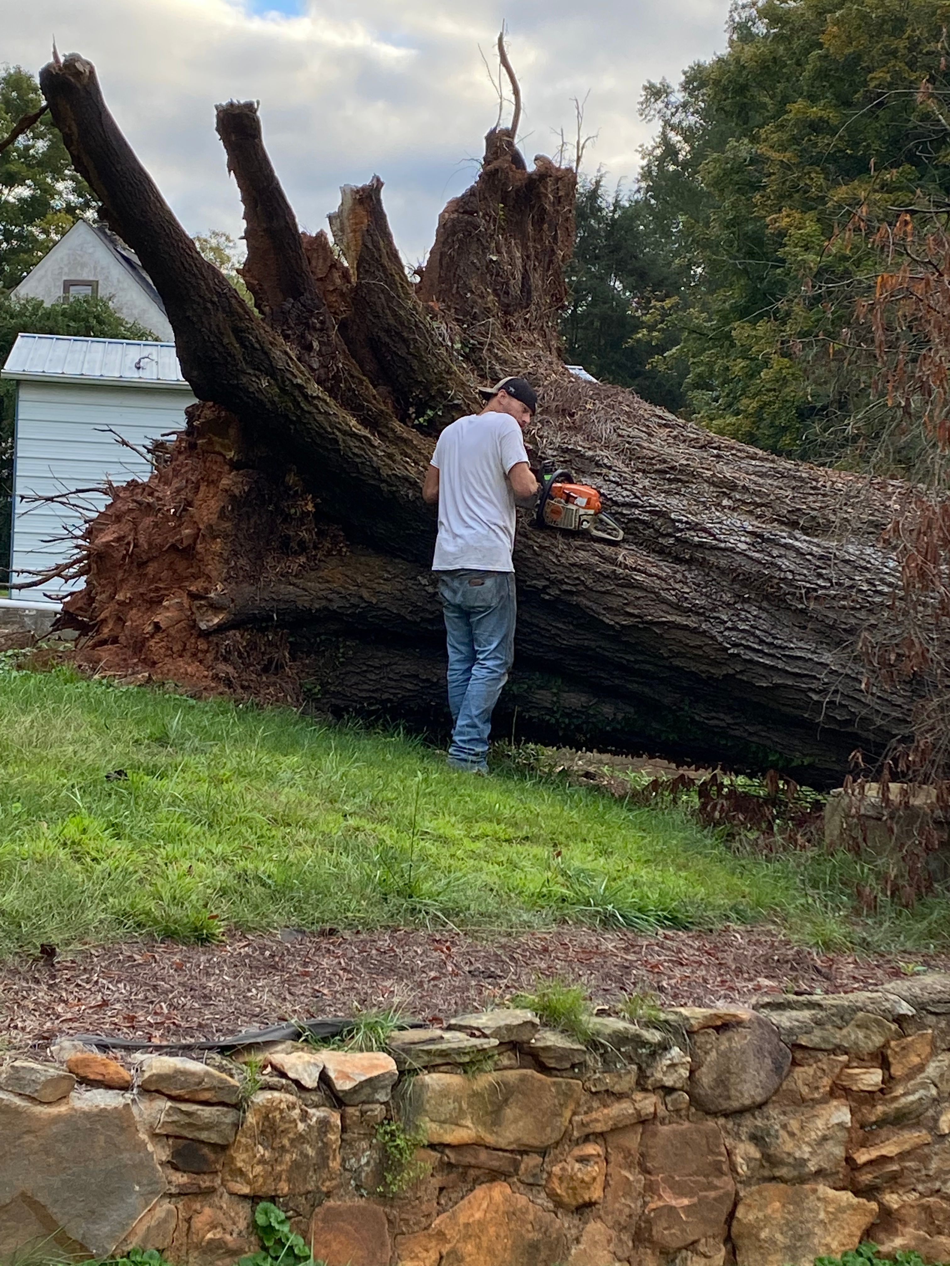  for ABC Tree Service in Dobson, NC