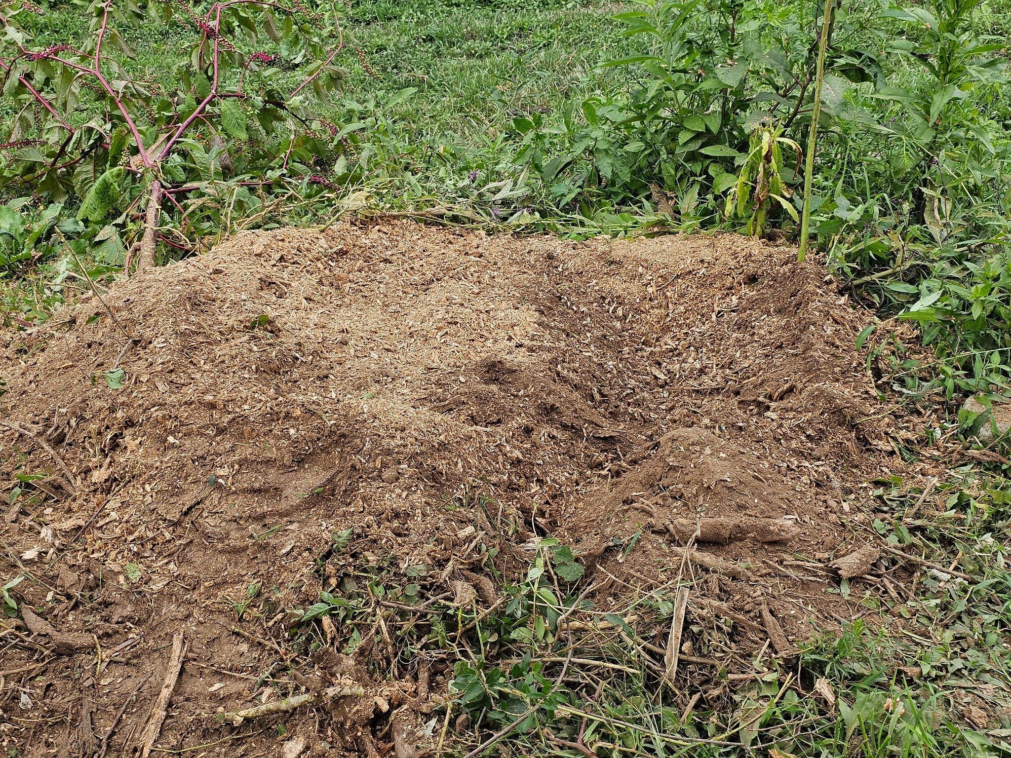  for I and R Stump Grinding in Thornville, OH