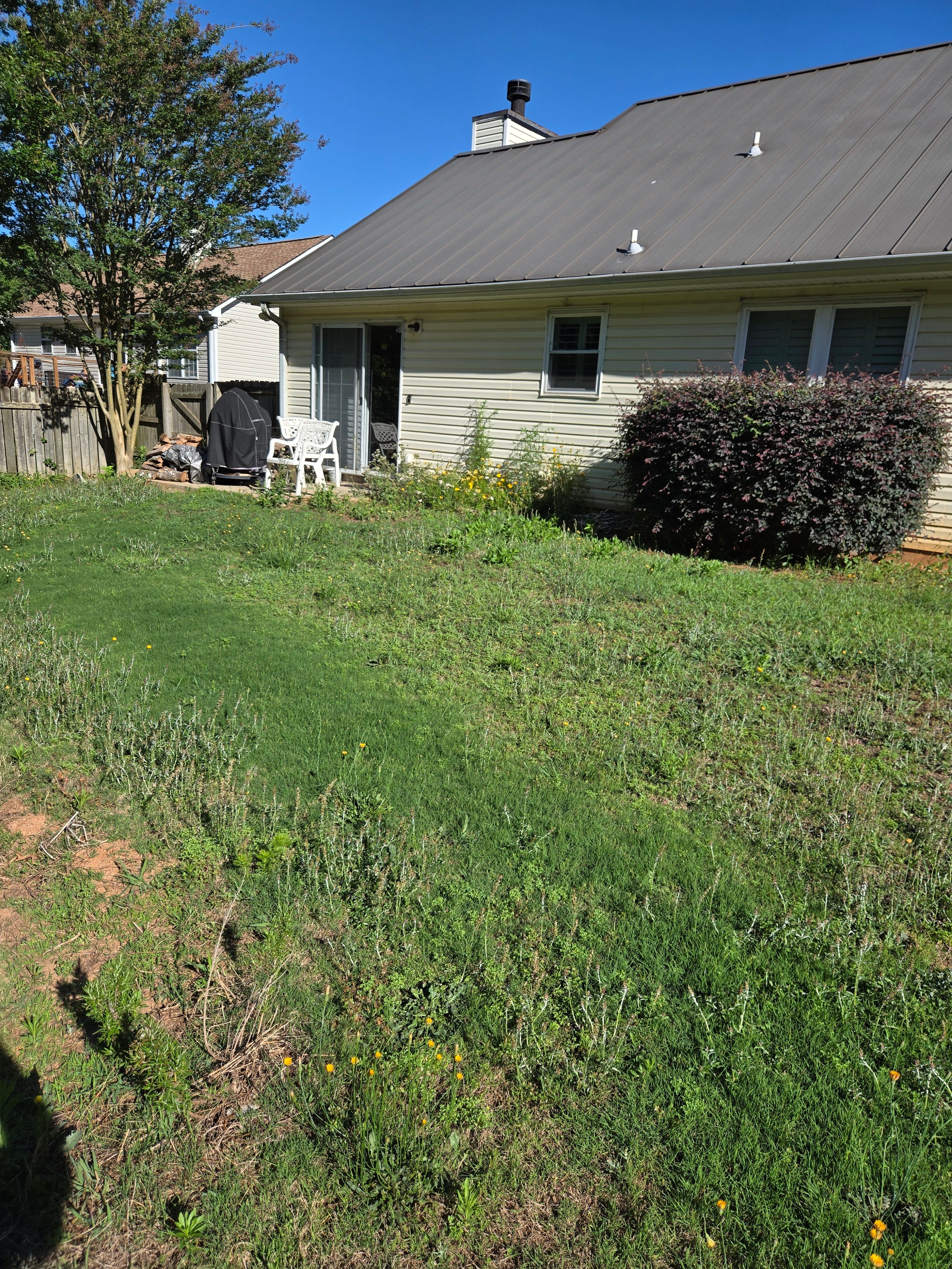  for Palmour's Lawn Care in Gainesville, GA