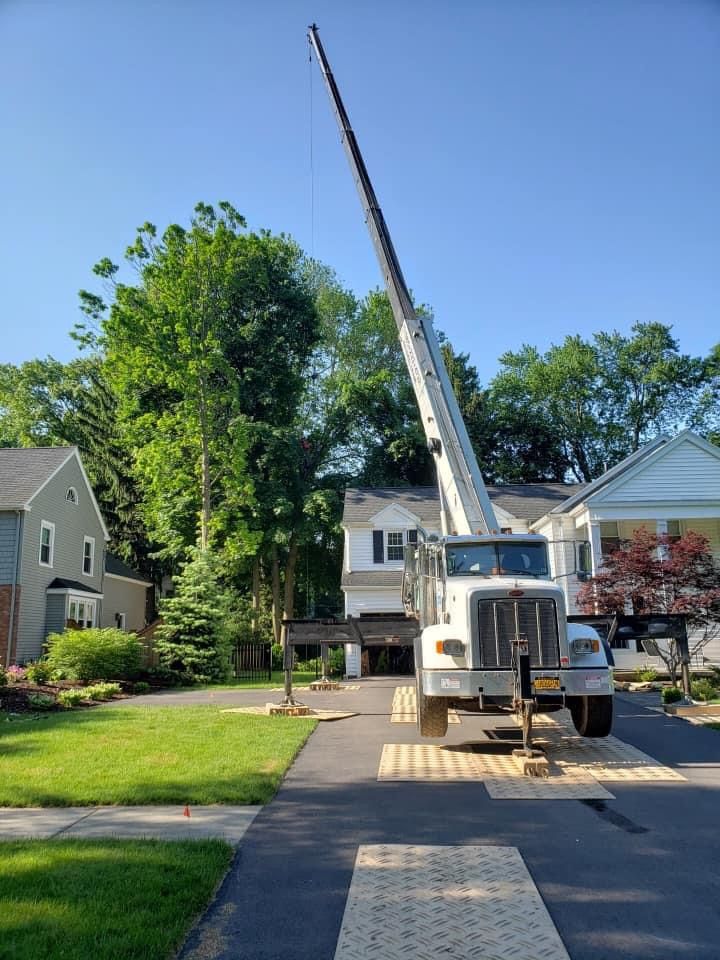  for S.H. Tree Service LLC in Hilton, NY