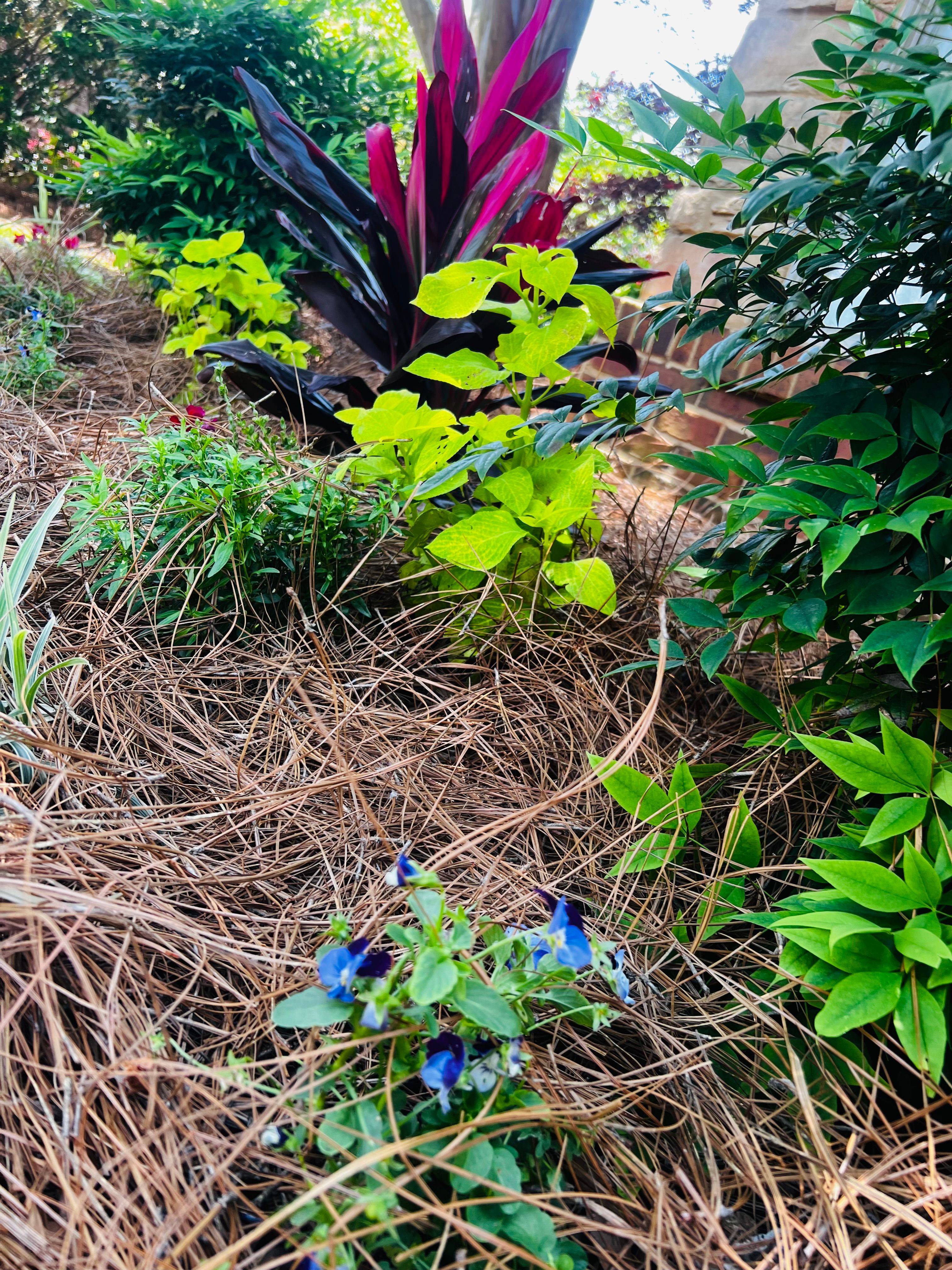  for Enhanced Landscape in Daphne, AL