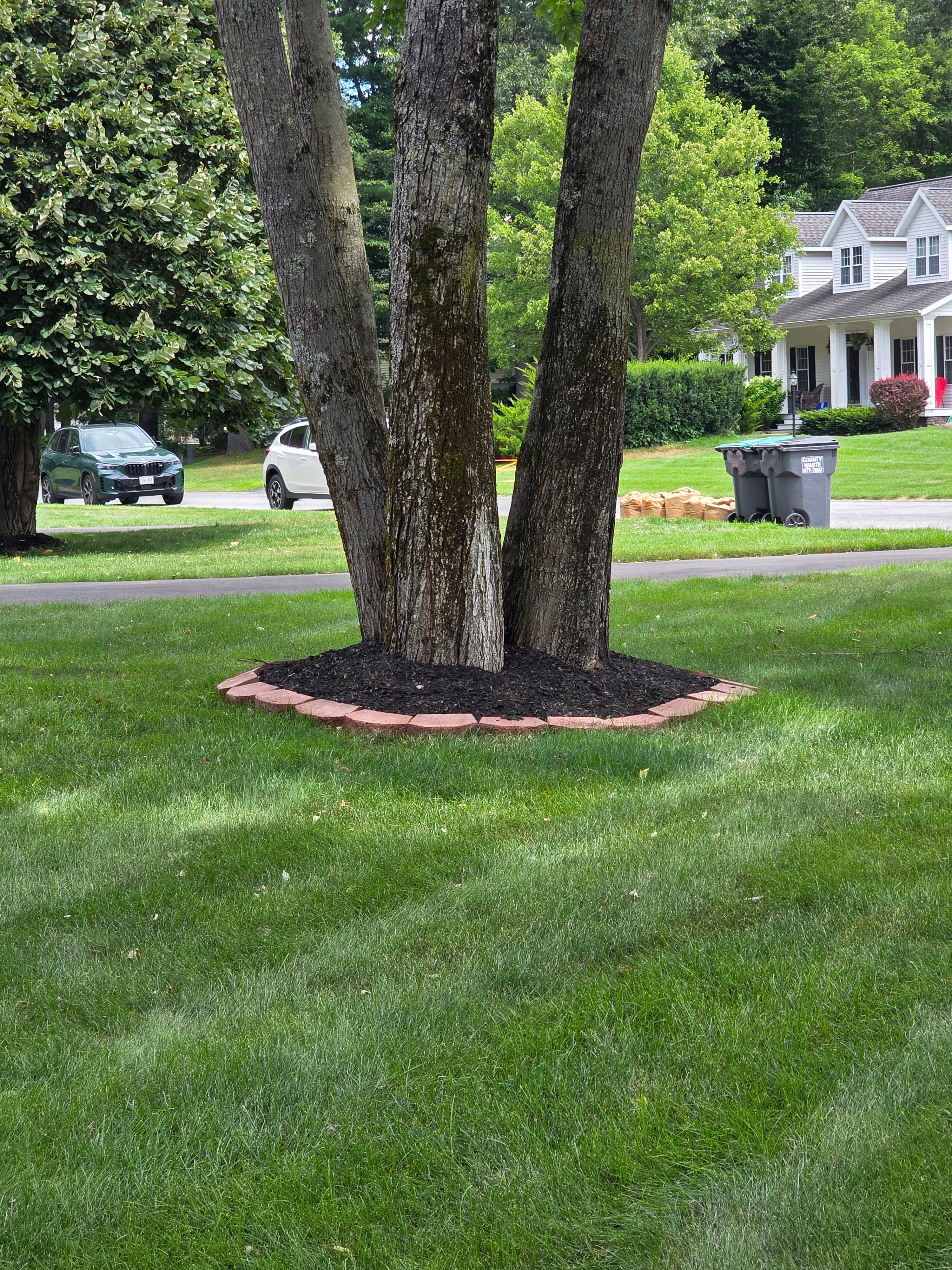  for Sweet Scapes in Ballston Spa, NY