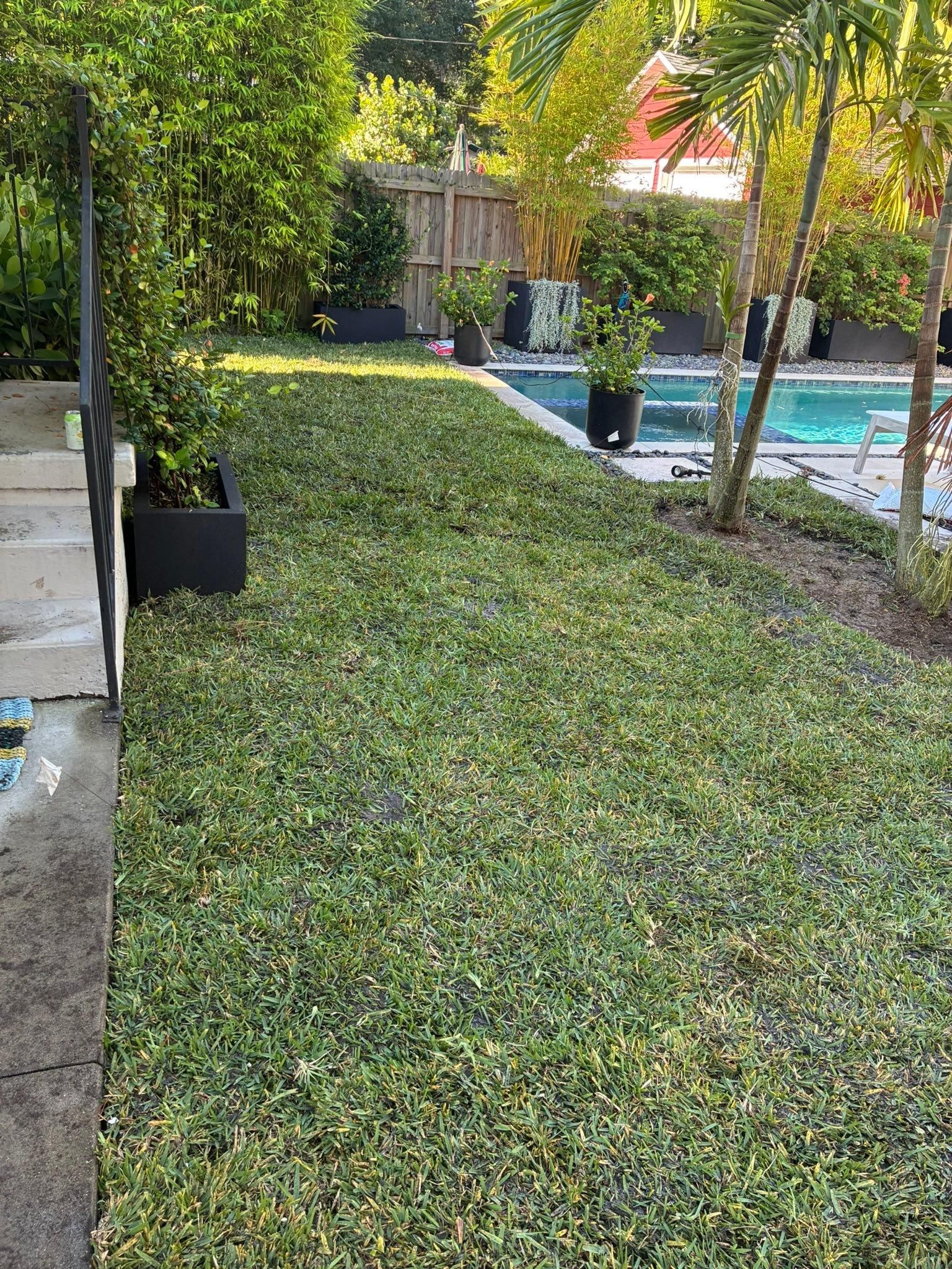  for Gulf Bay Sod in Clearwater, FL