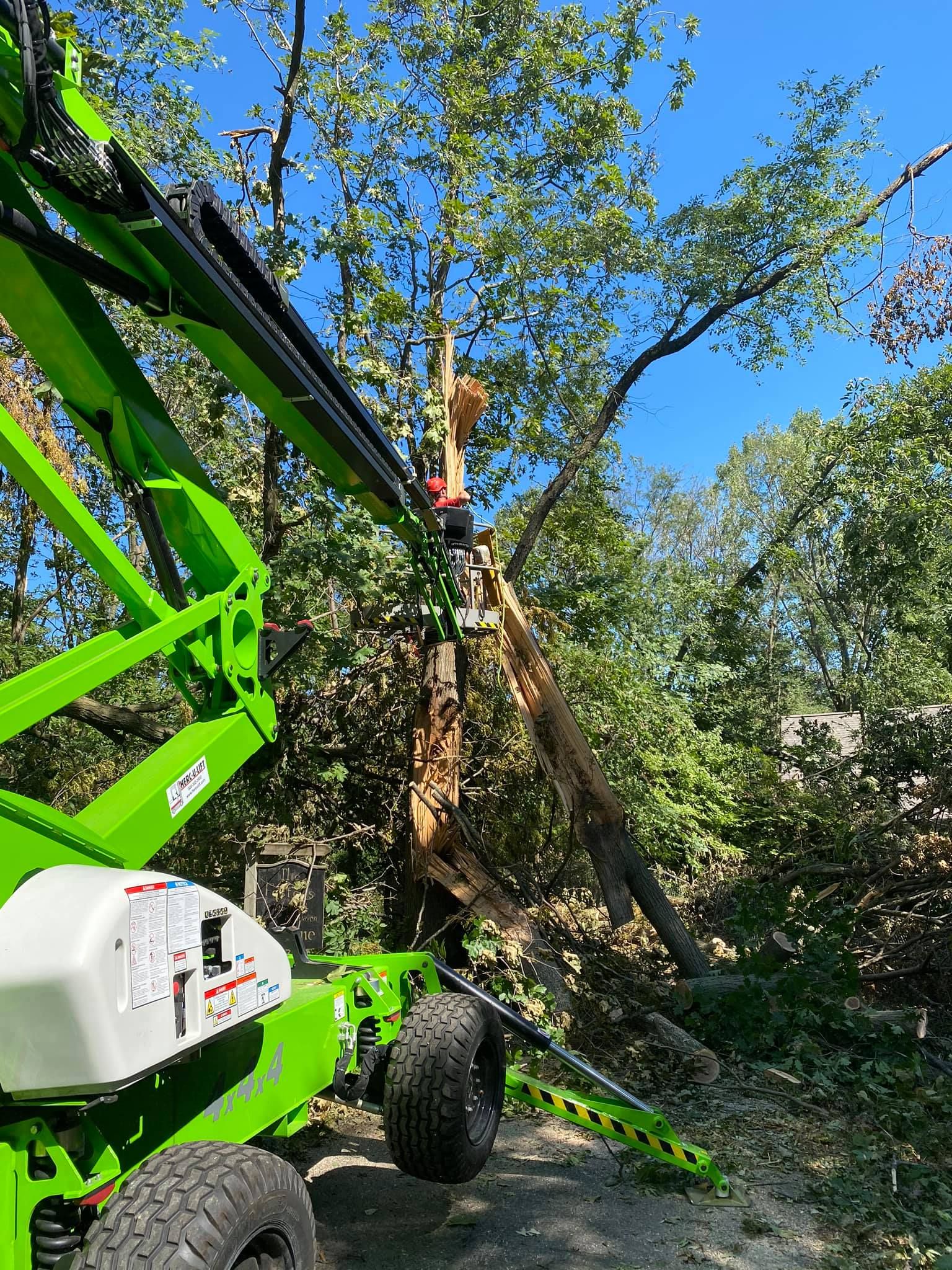 All Photos for Allstate Tree Service in Fridley, MN