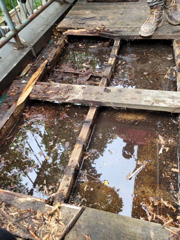  for Triumph Inc - Repair & Maintenance in Scarborough, ON