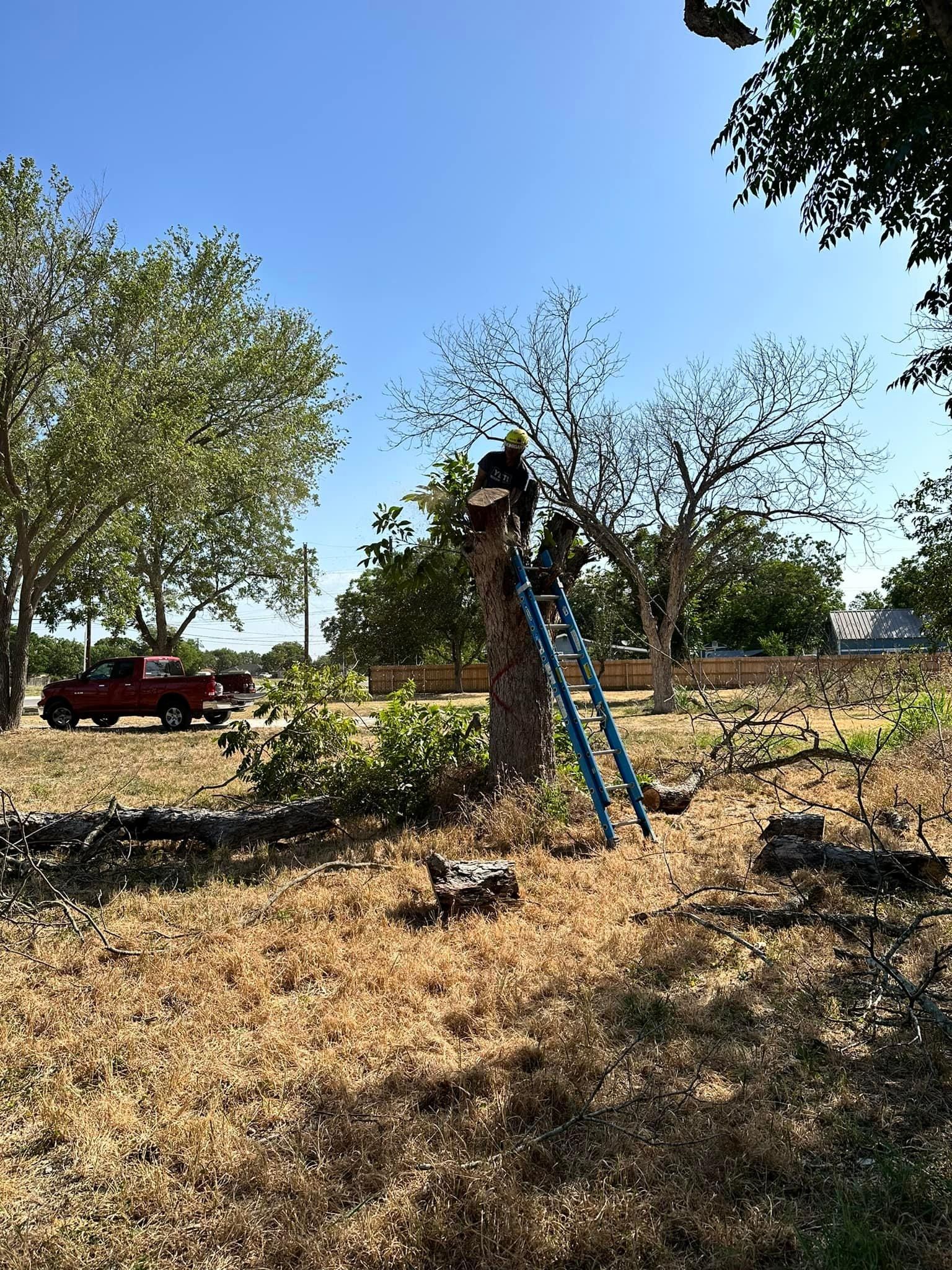  for Green Turf Landscaping in Kyle, TX