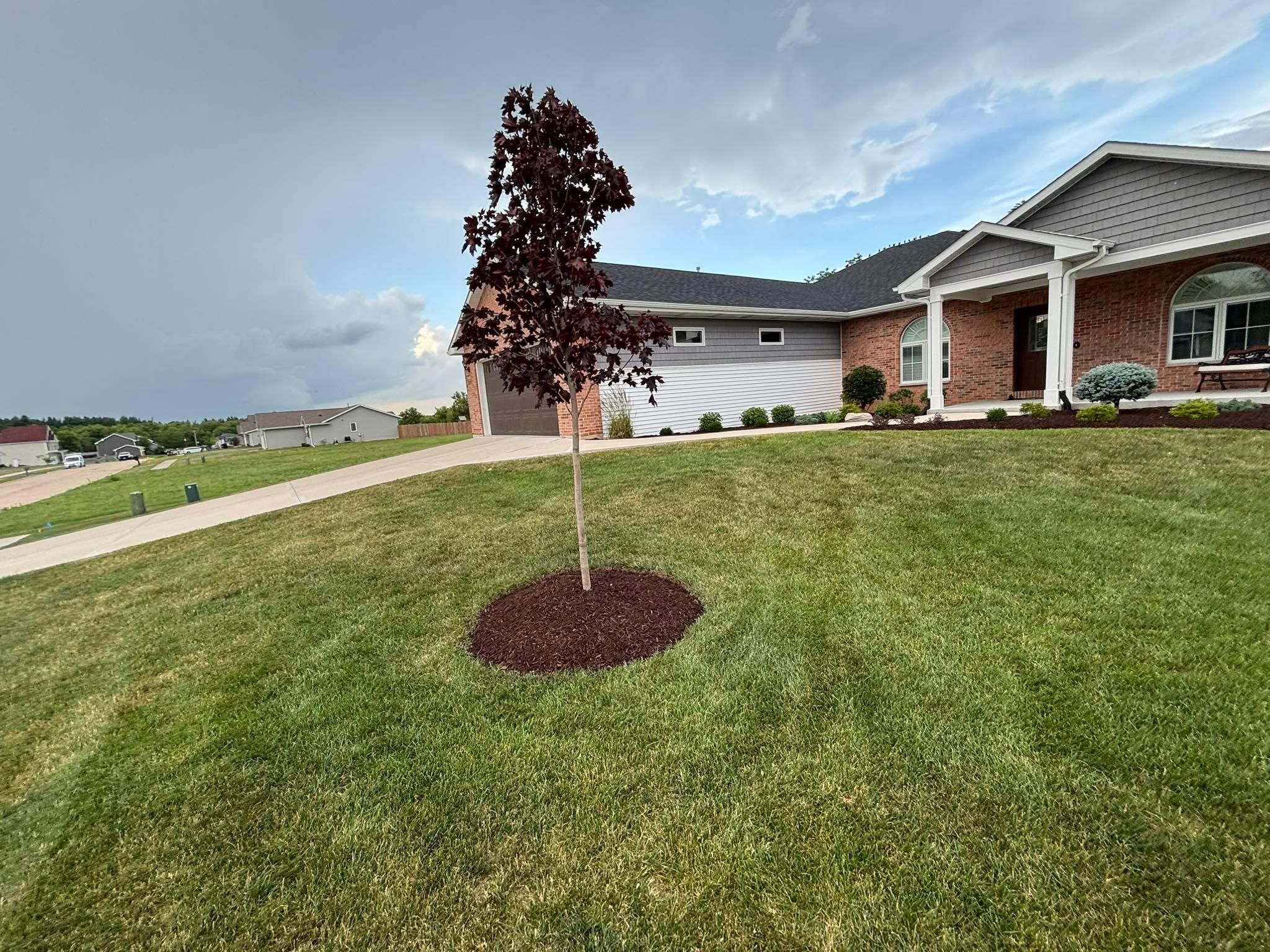  for Cena Landscaping in Rockford, IL