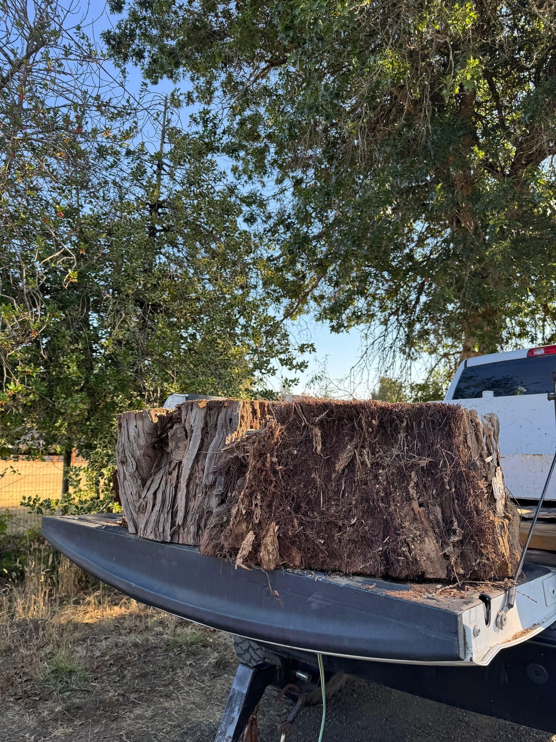 Stump grinding for Willamette Landscaping and Tree Services in Albany, OR