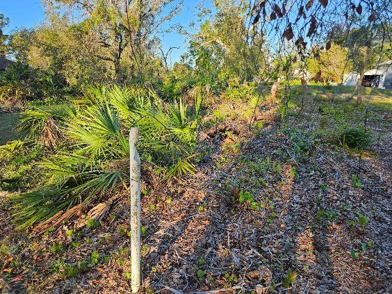  for Bay Area Bobcat in Riverview, FL