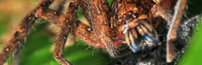 All Photos for Stonecreek Solutions in Sulphur Springs, TX