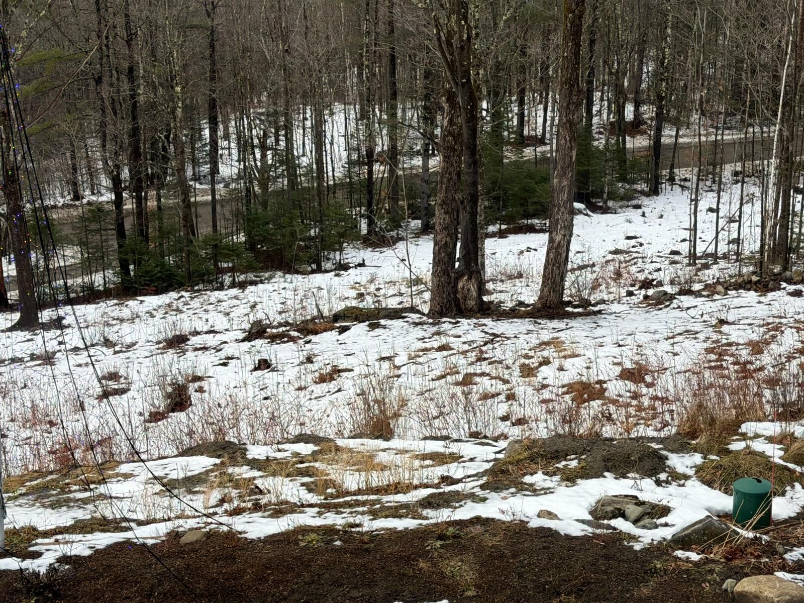  for Clifford’s Quality Tree Care & Landscaping in Enfield, NH