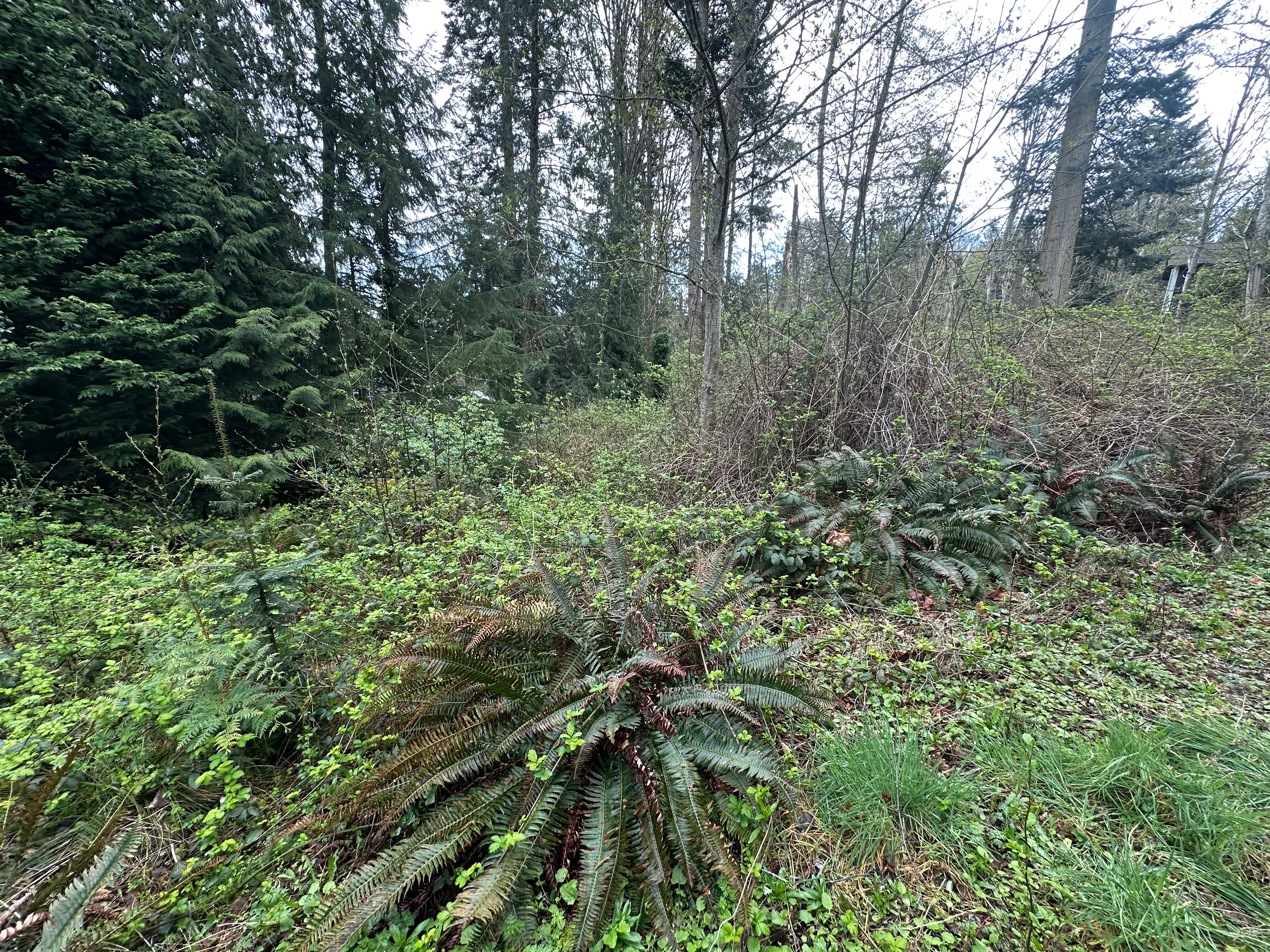  for AR Trucking & Excavation LLC in Stanwood, WA