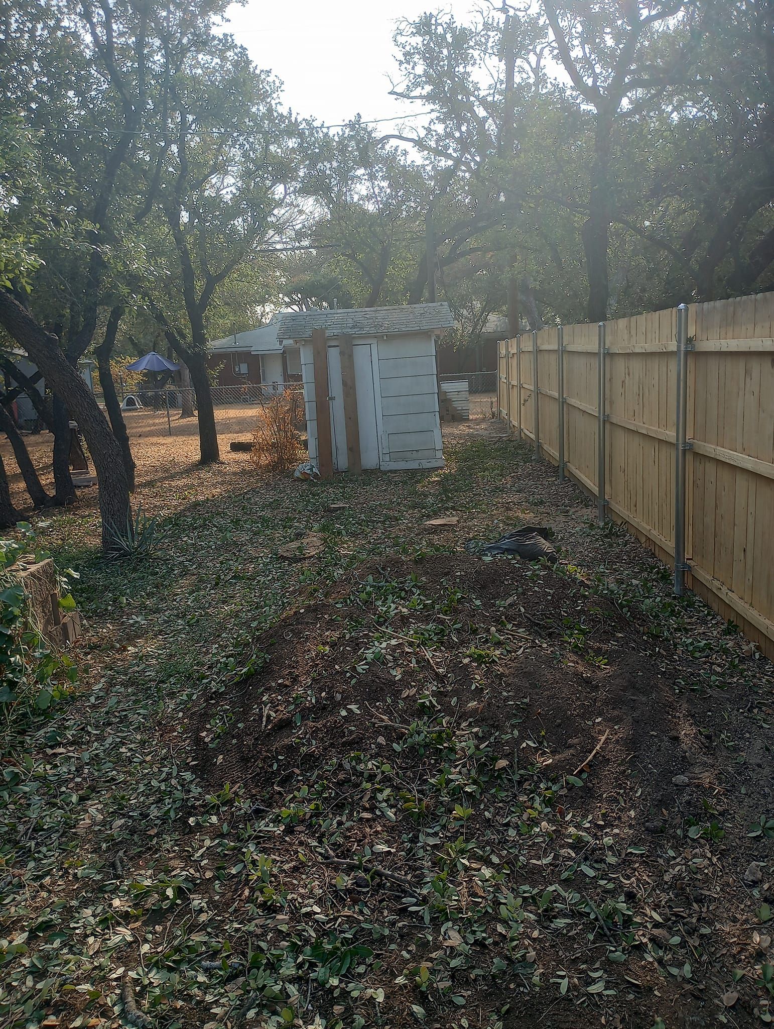 Tree Removal for Marks Tree Service in Fort Worth, TX