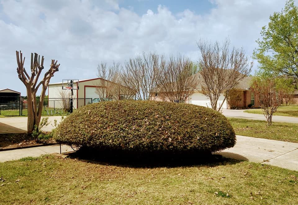  for Lavon Lawn Plus in Lavon, TX