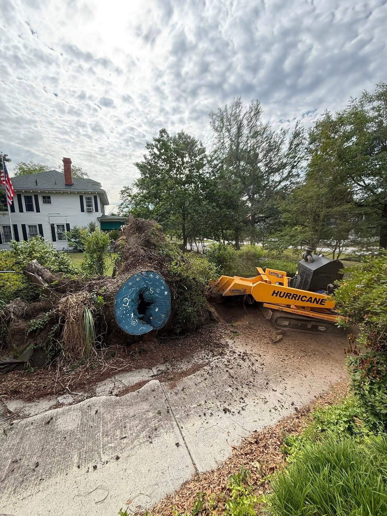  for Dozier Stump Grinding in Augusta, GA