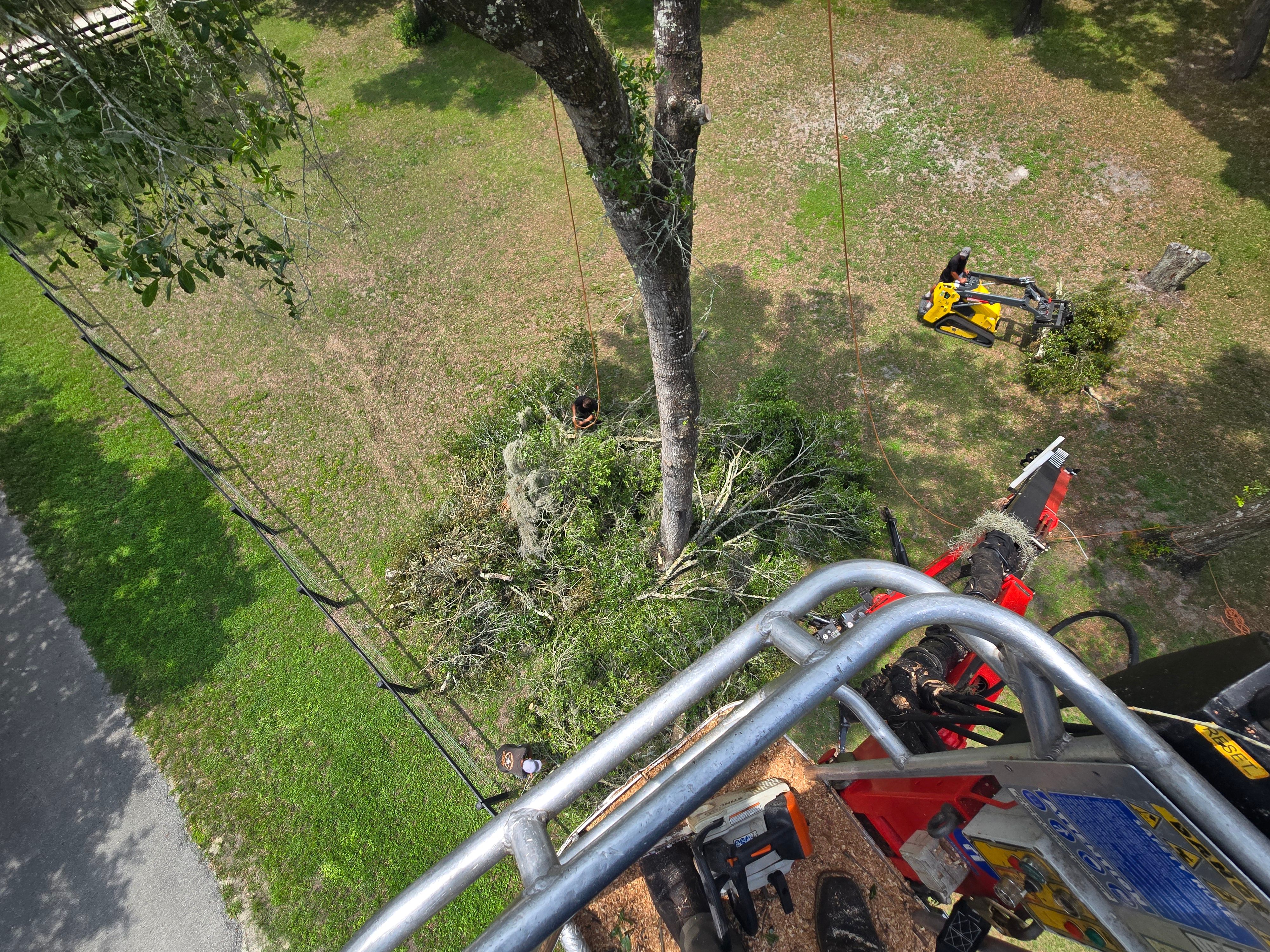 All Photos for Near Me Tree Service, Inc. in DeLand, FL