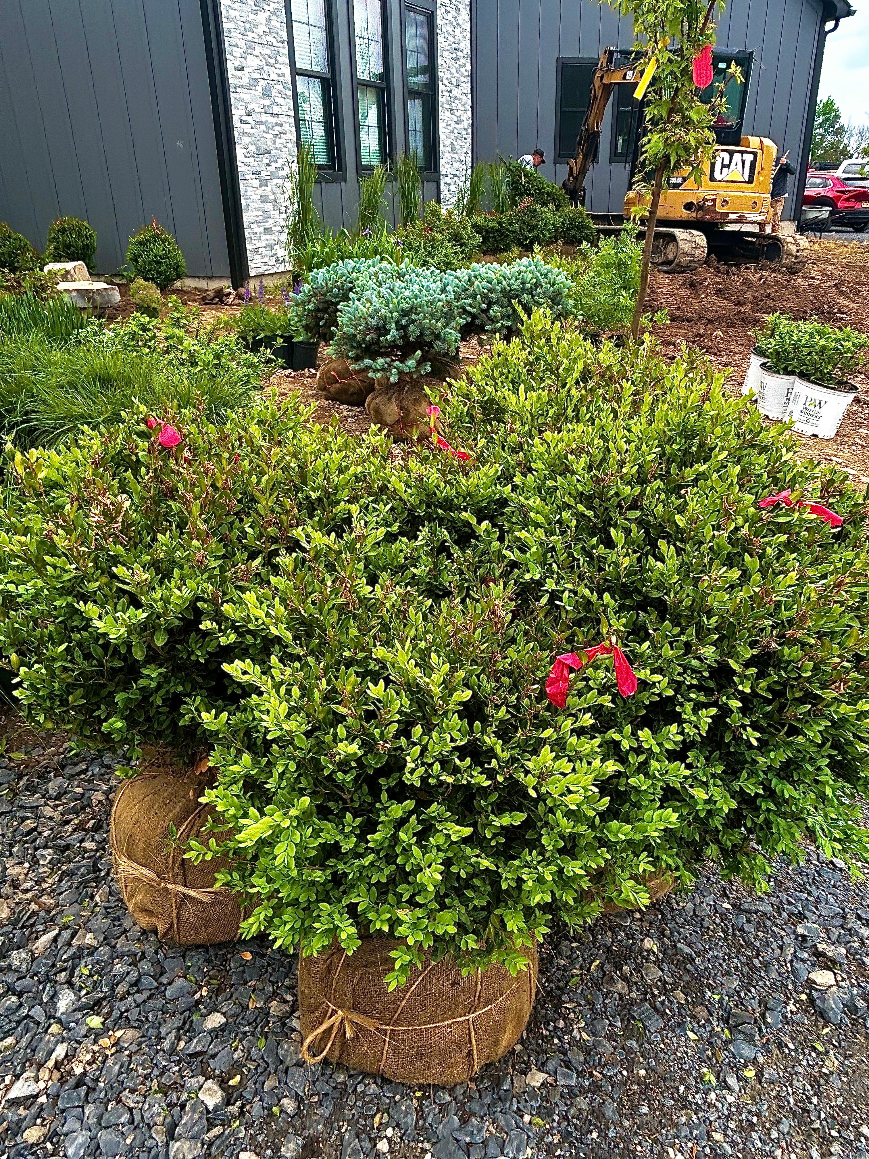  for Tony Monaco Landscaping Inc. in Orange County, NY