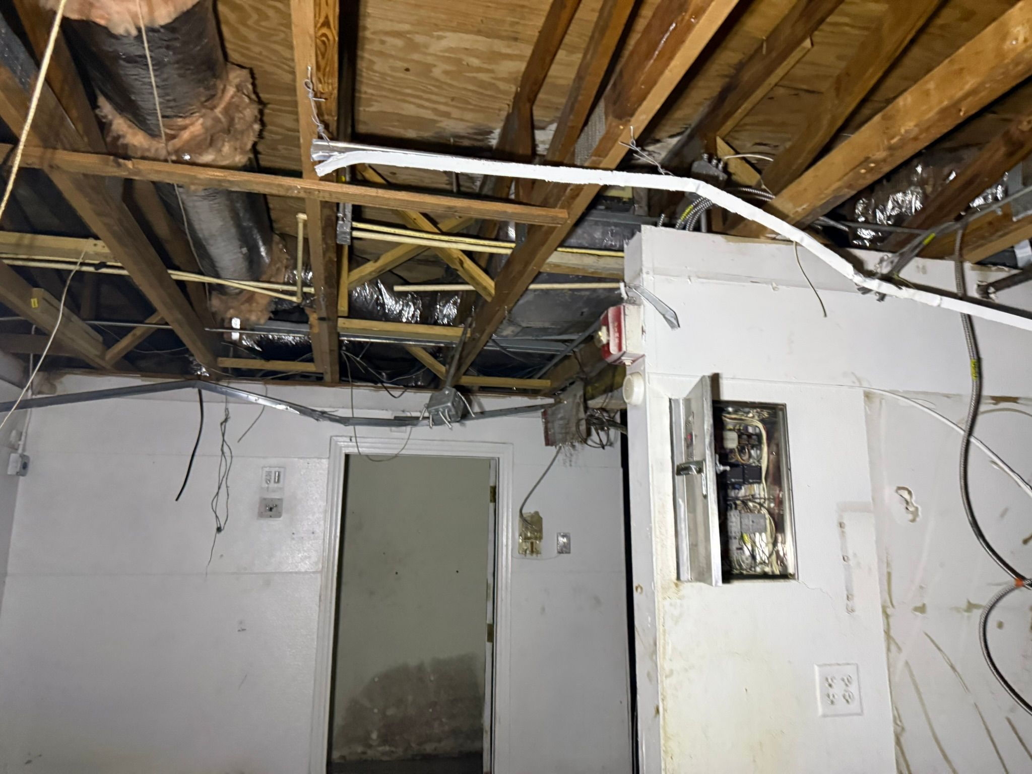  for Surplus Public Adjusters in Miami-Dade County, FL