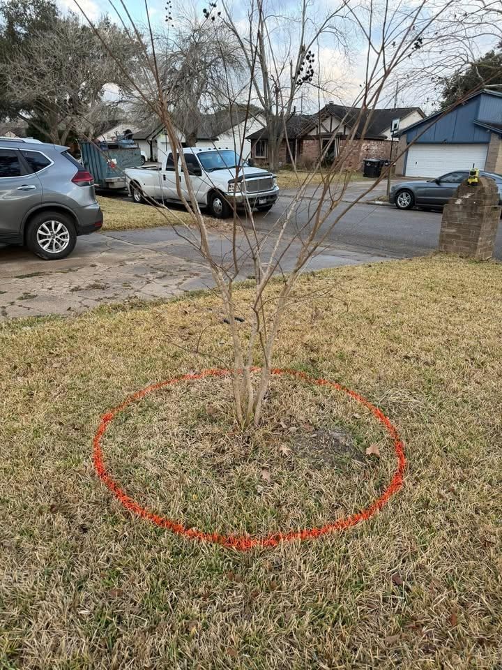  for Texas Curb N Borders in Houston, TX