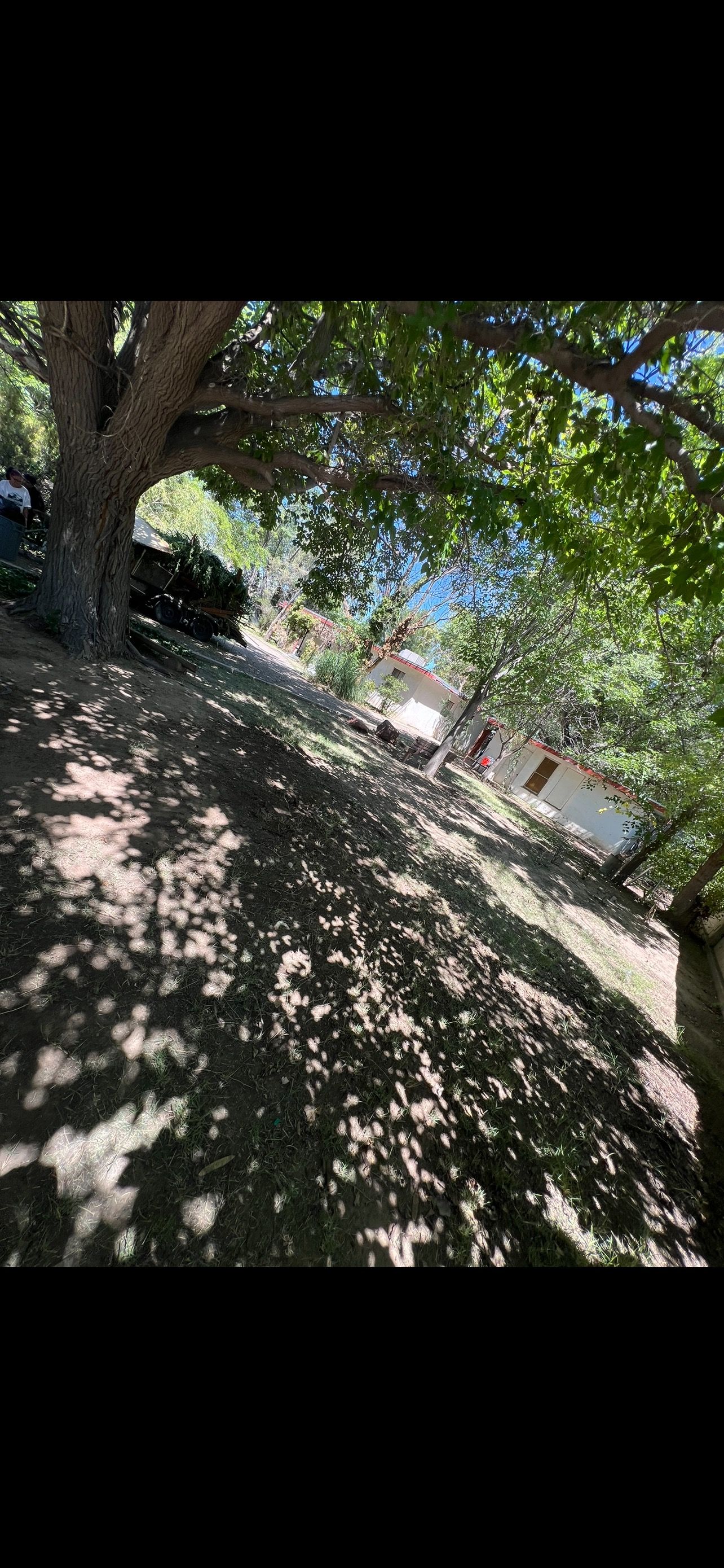  for Luxury Junk Removal Yard Care in Albuquerque, NM