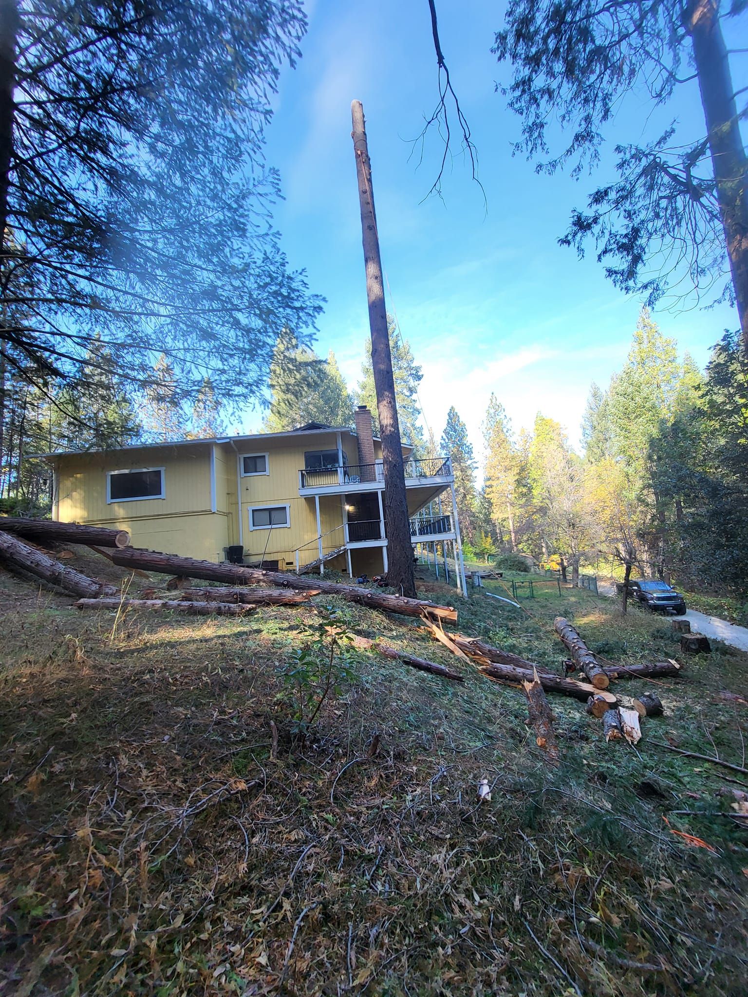  for Terra Heights Tree Experts & Landscaping  in Grass Valley,  CA