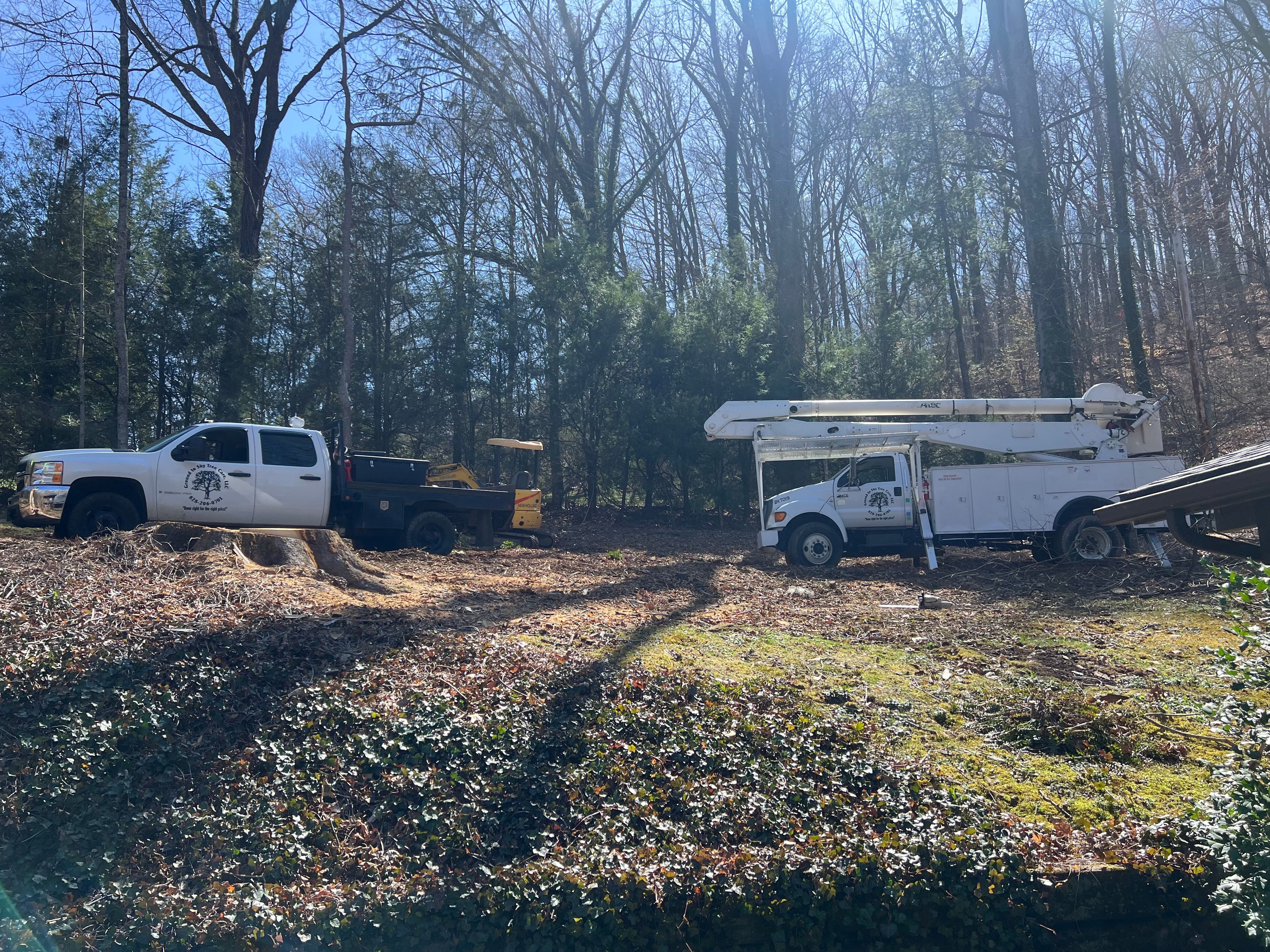  for Ground To Sky Tree Care in Asheville, North Carolina