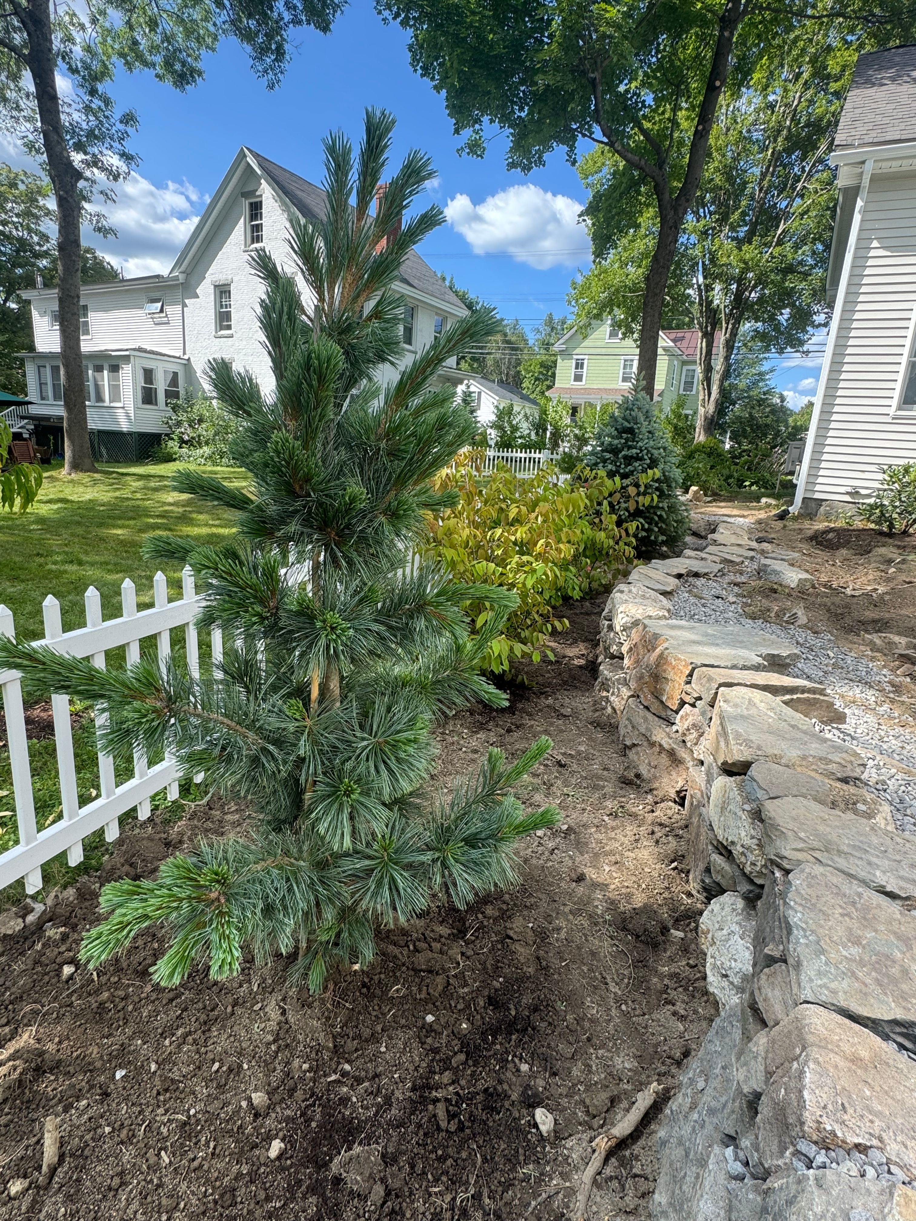  for Natural Roots in Georgetown, ME