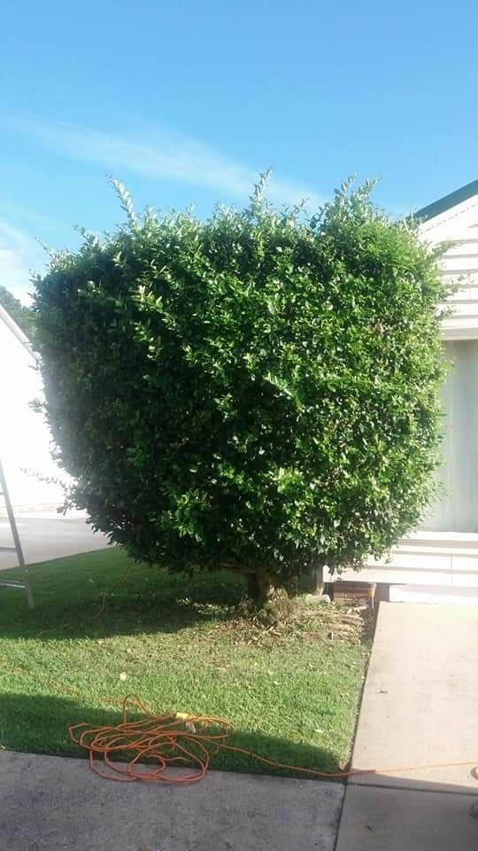  for Voilà Magic LawnCare Services in Jacksonville, NC