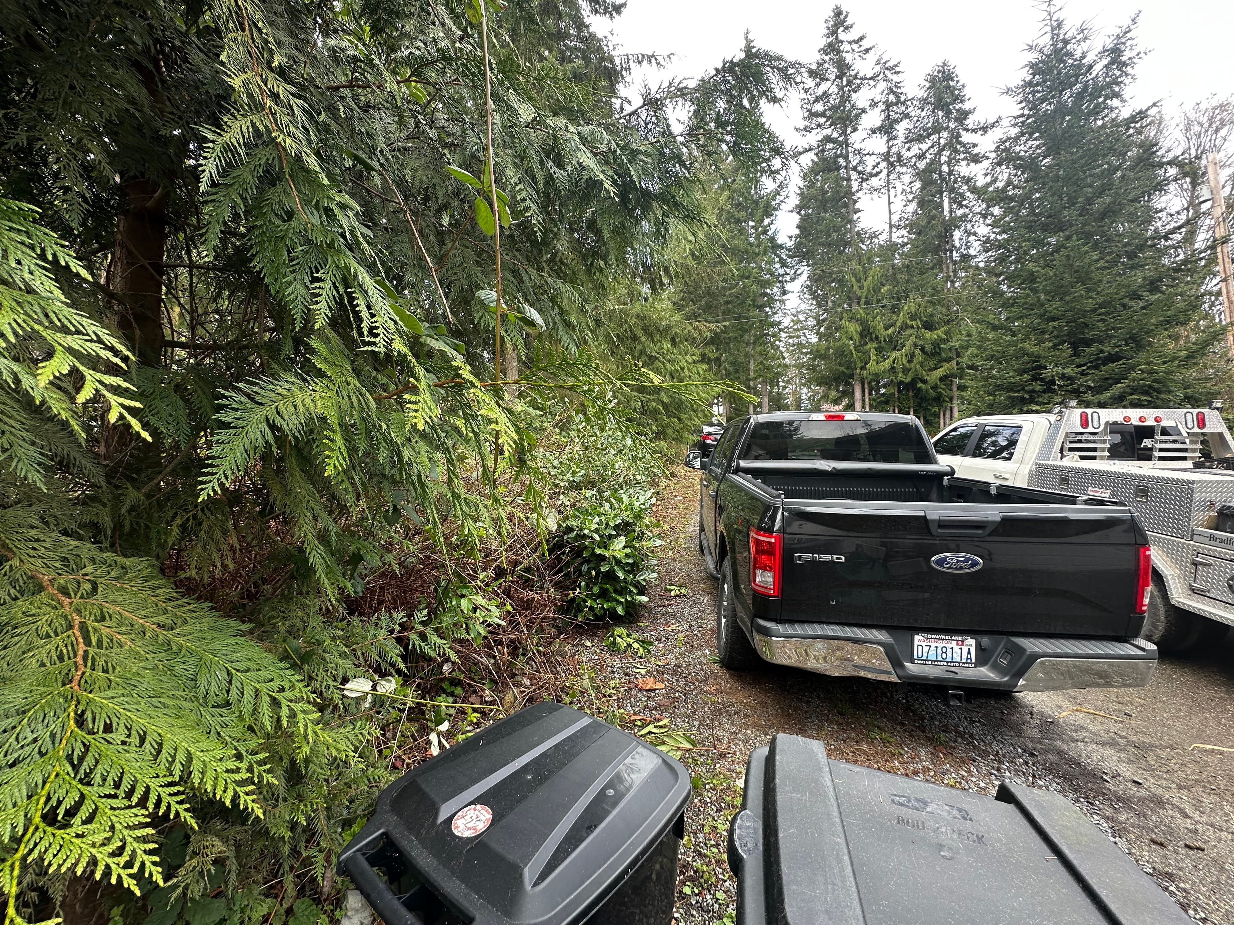  for AR Trucking & Excavation LLC in Stanwood, WA