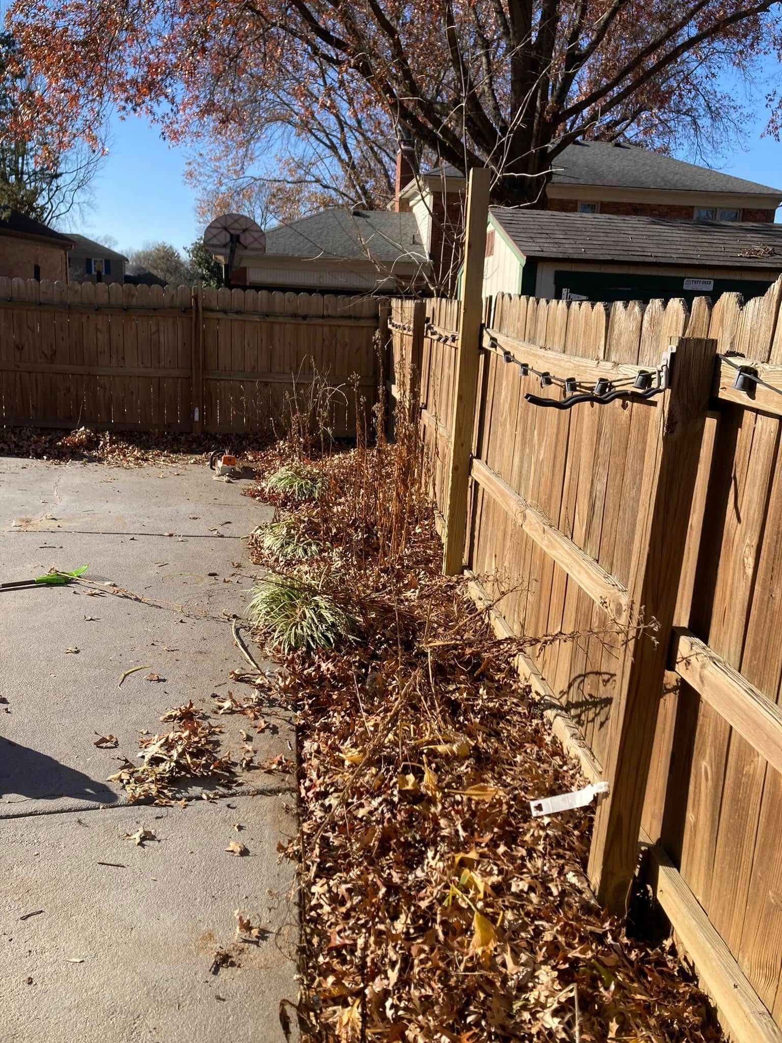  for La Fountain Tree Service in Louisville, KY