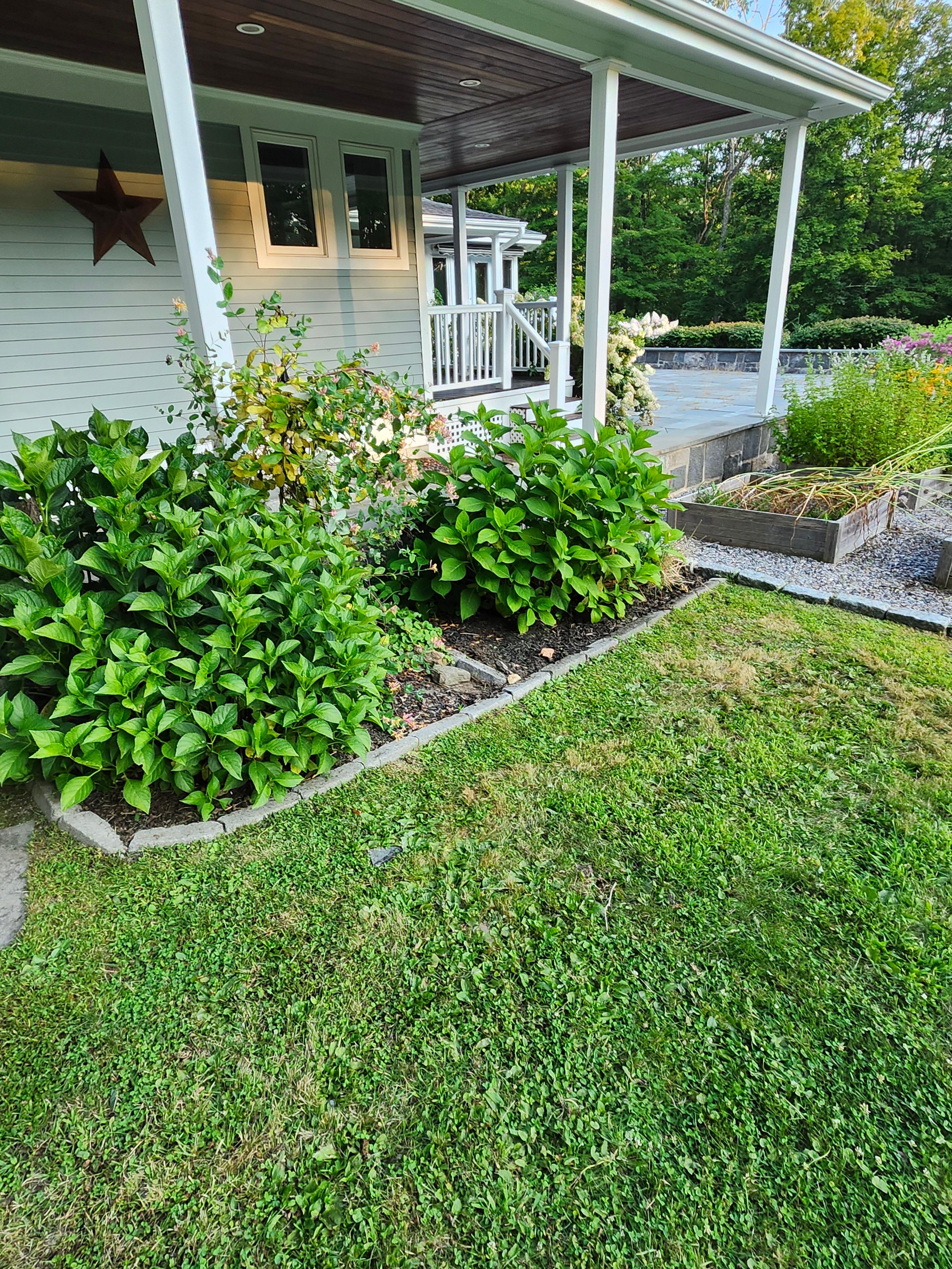 Flower & Tree Planting for Landscape Innovations LLC in Torrington, CT