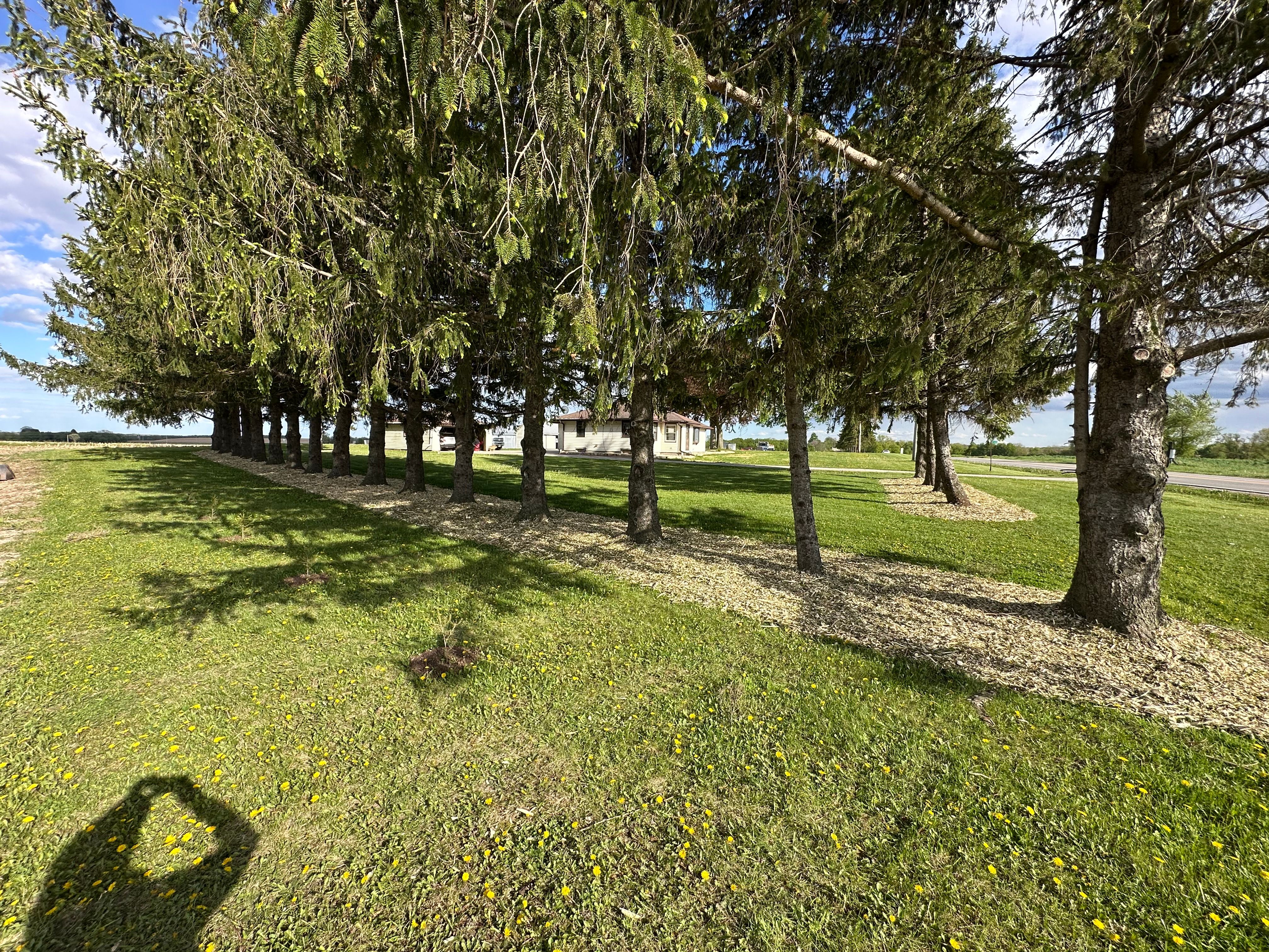  for 608 Earthworks in Marshall, WI