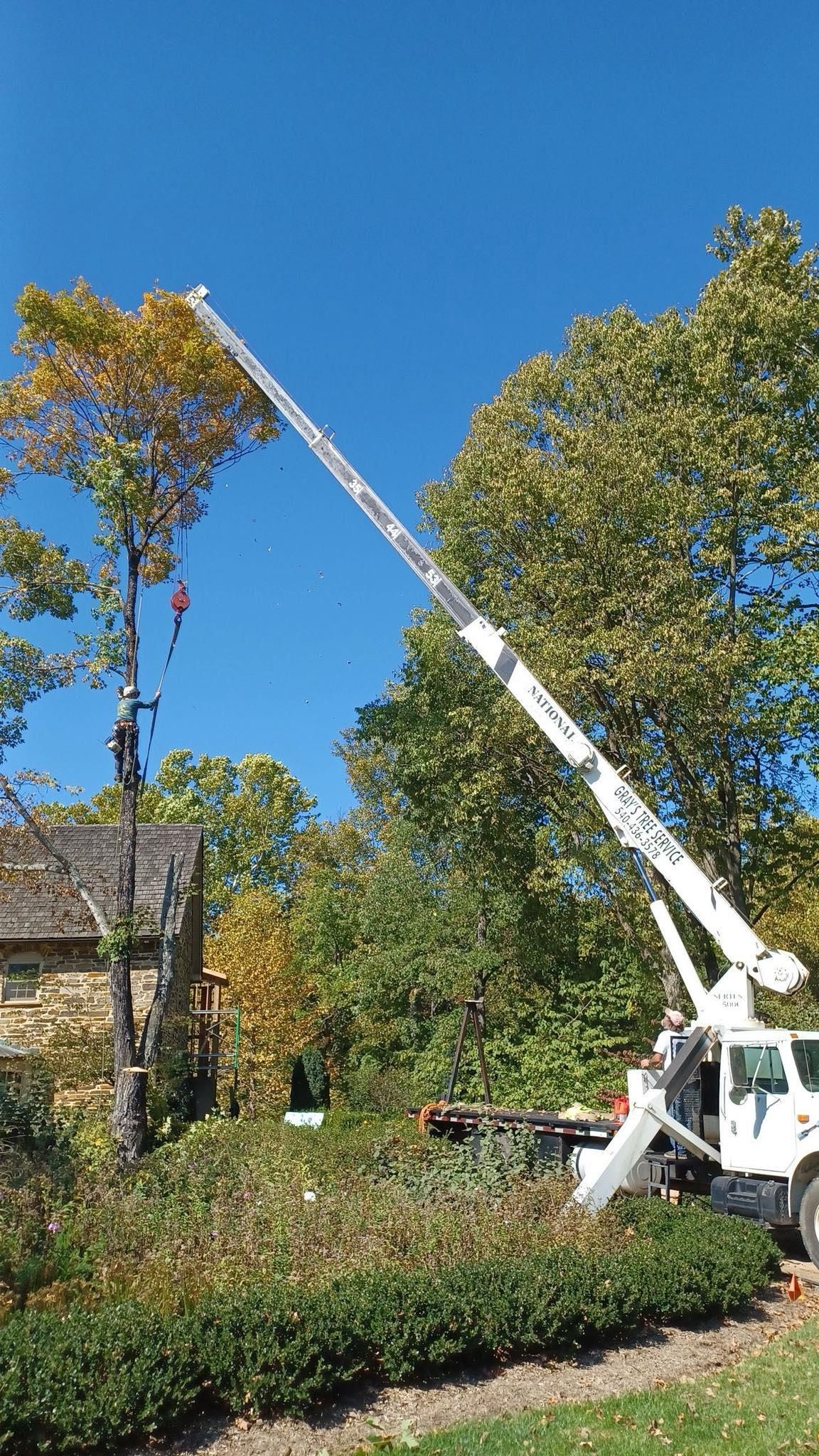 All Photos for Gray's Tree Service  in Shenandoah County, VA
