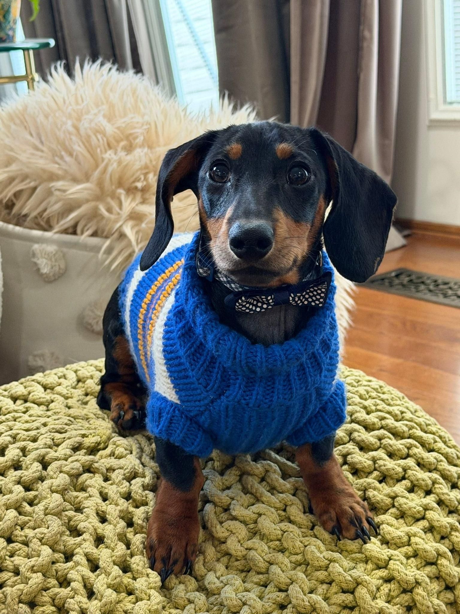  for Williams Concrete Pumping in Knoxville, Tennessee