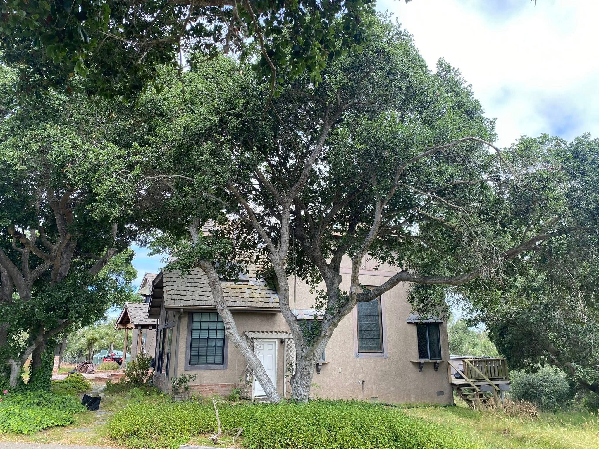  for A1 Junk & Tree Solutions, LLC in Paso Robles, CA