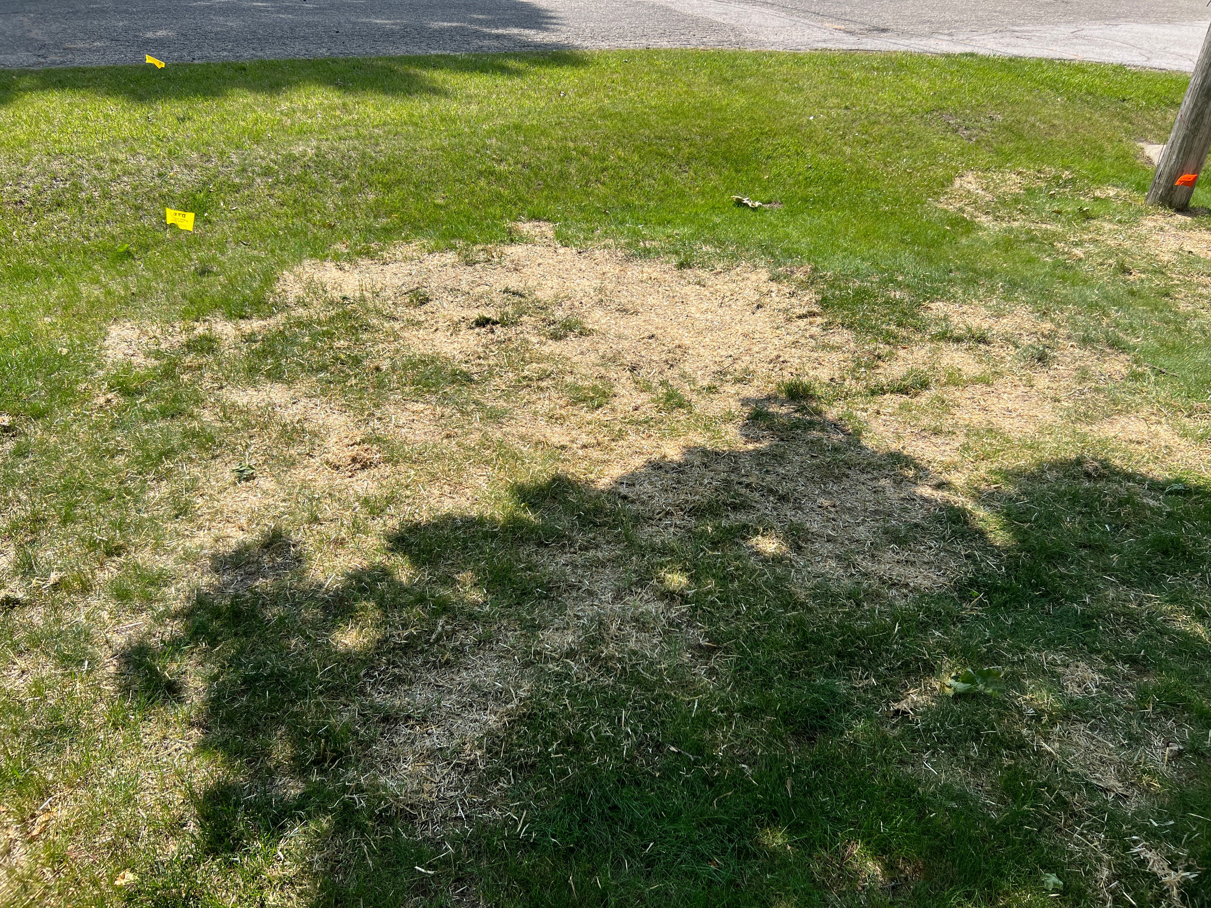 All Photos for Phillips Lawn Services in Ravenna, MI