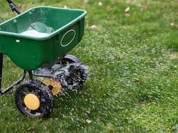 All Photos for Phillips Lawn Services in Ravenna, MI