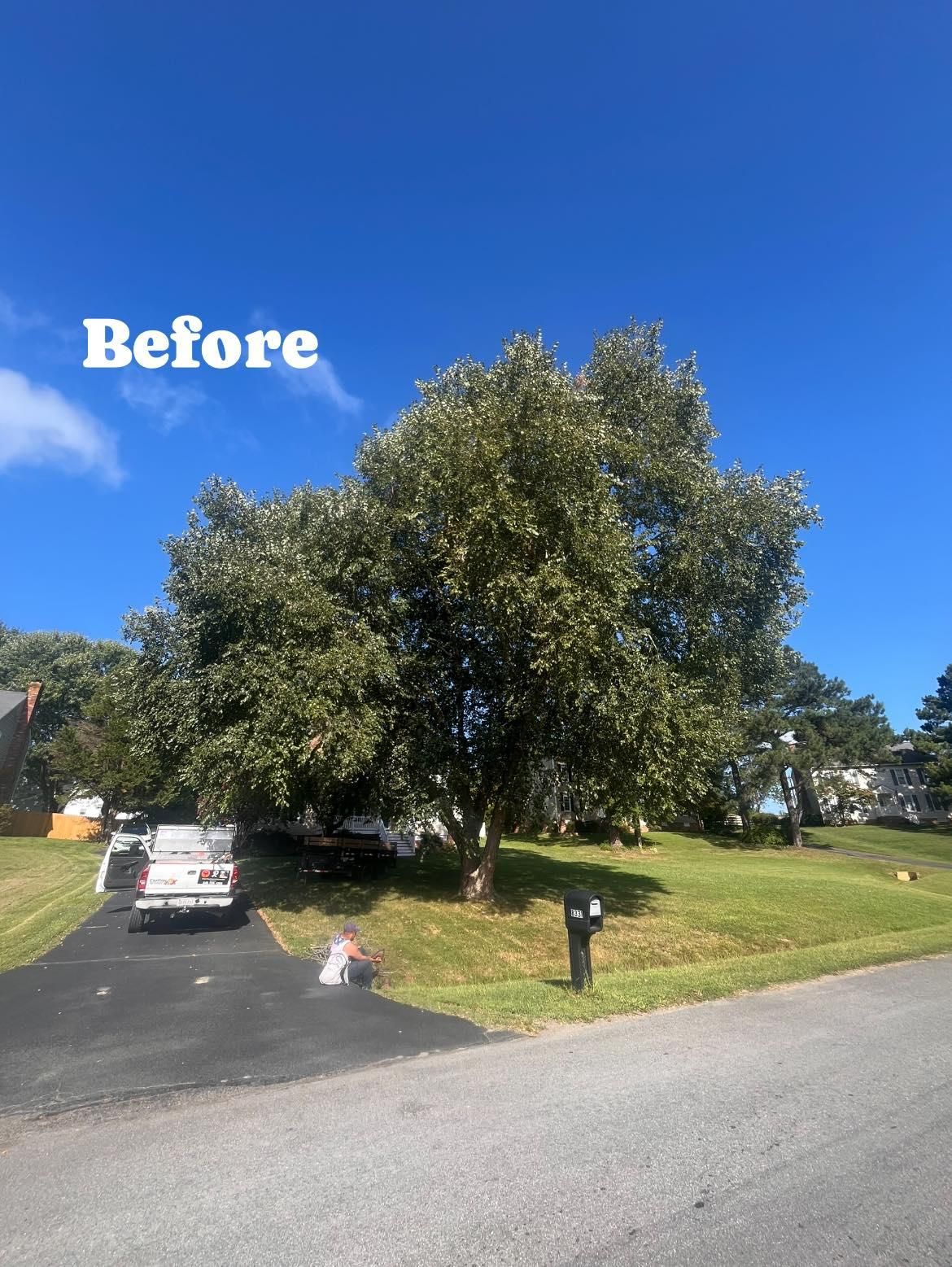  for Ricky's Tree Service & Property Care in Orange, VA