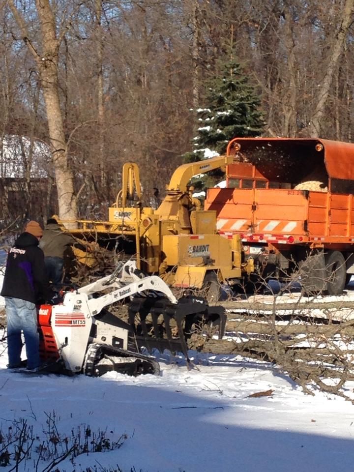 Tree Removal for Allstate Tree Service in Fridley, MN