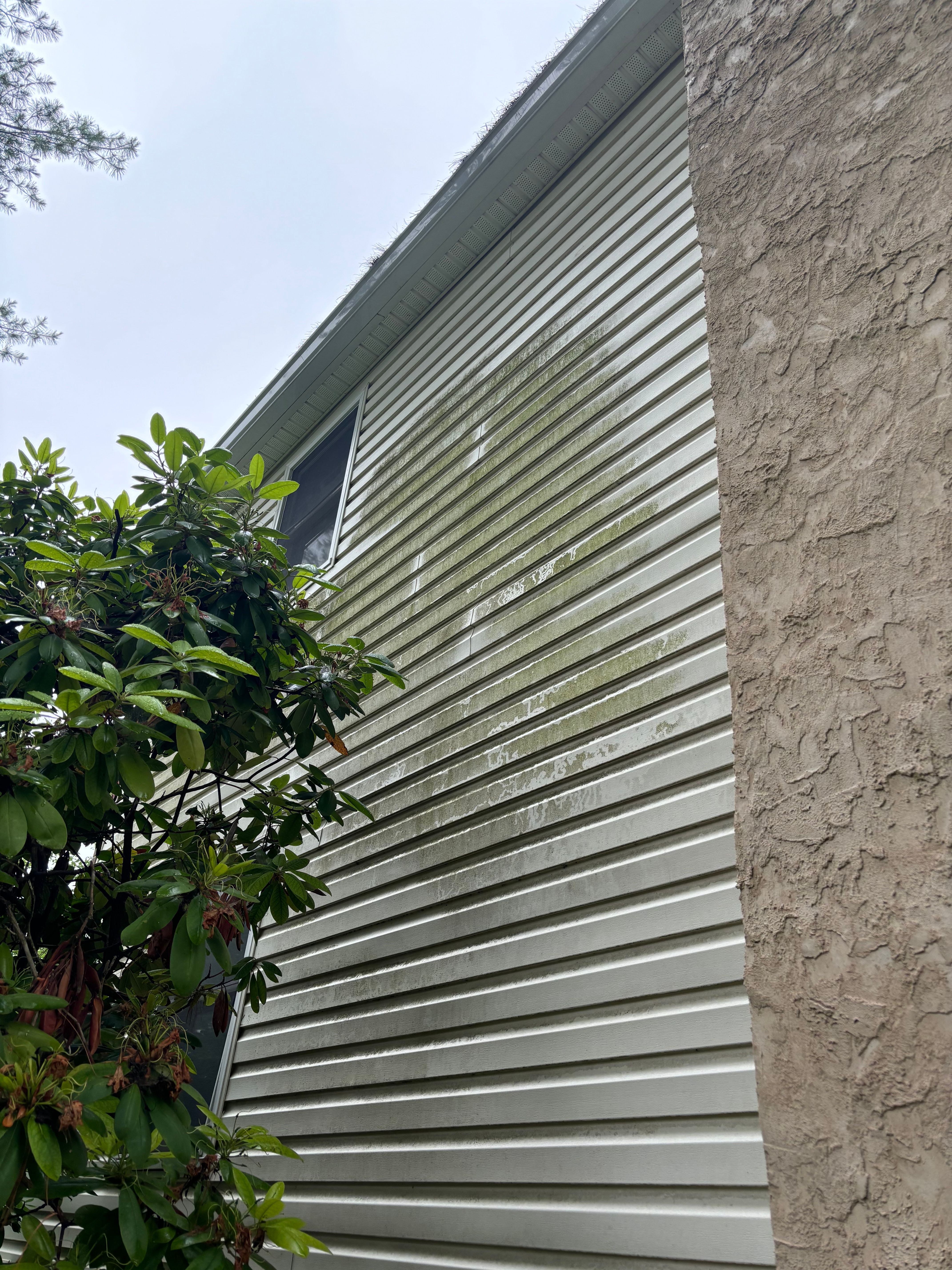 House Wash for Creekside Property Solutions in Aston Township, PA