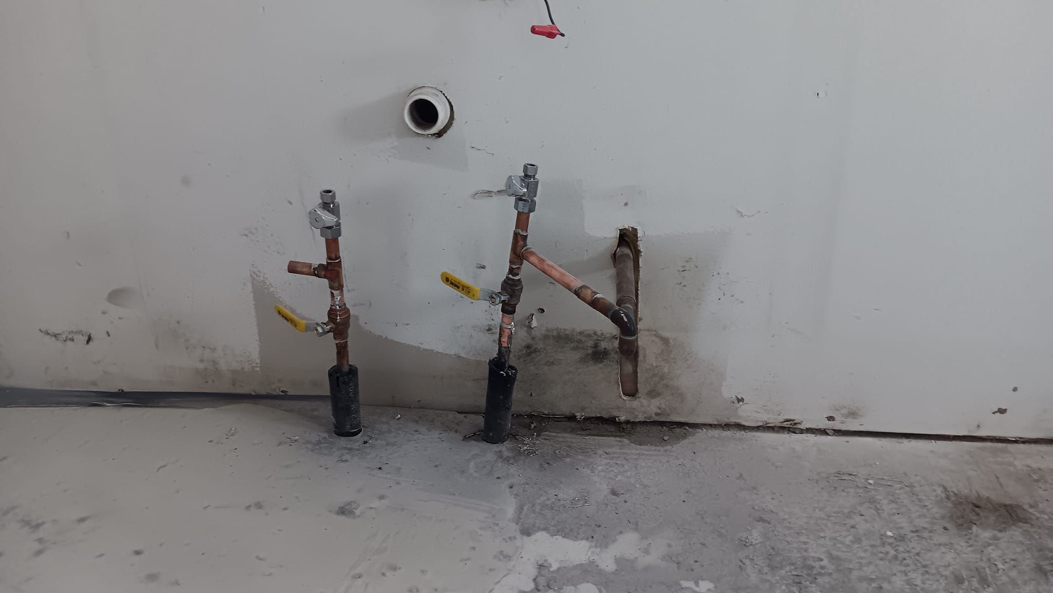  for Dead Tree General Contracting in Carbondale, Illinois