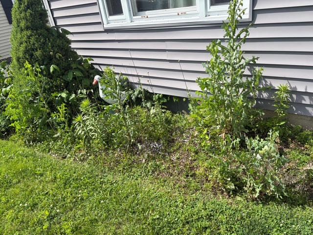  for Red Beard Lawn Care in Chillicothe, OH