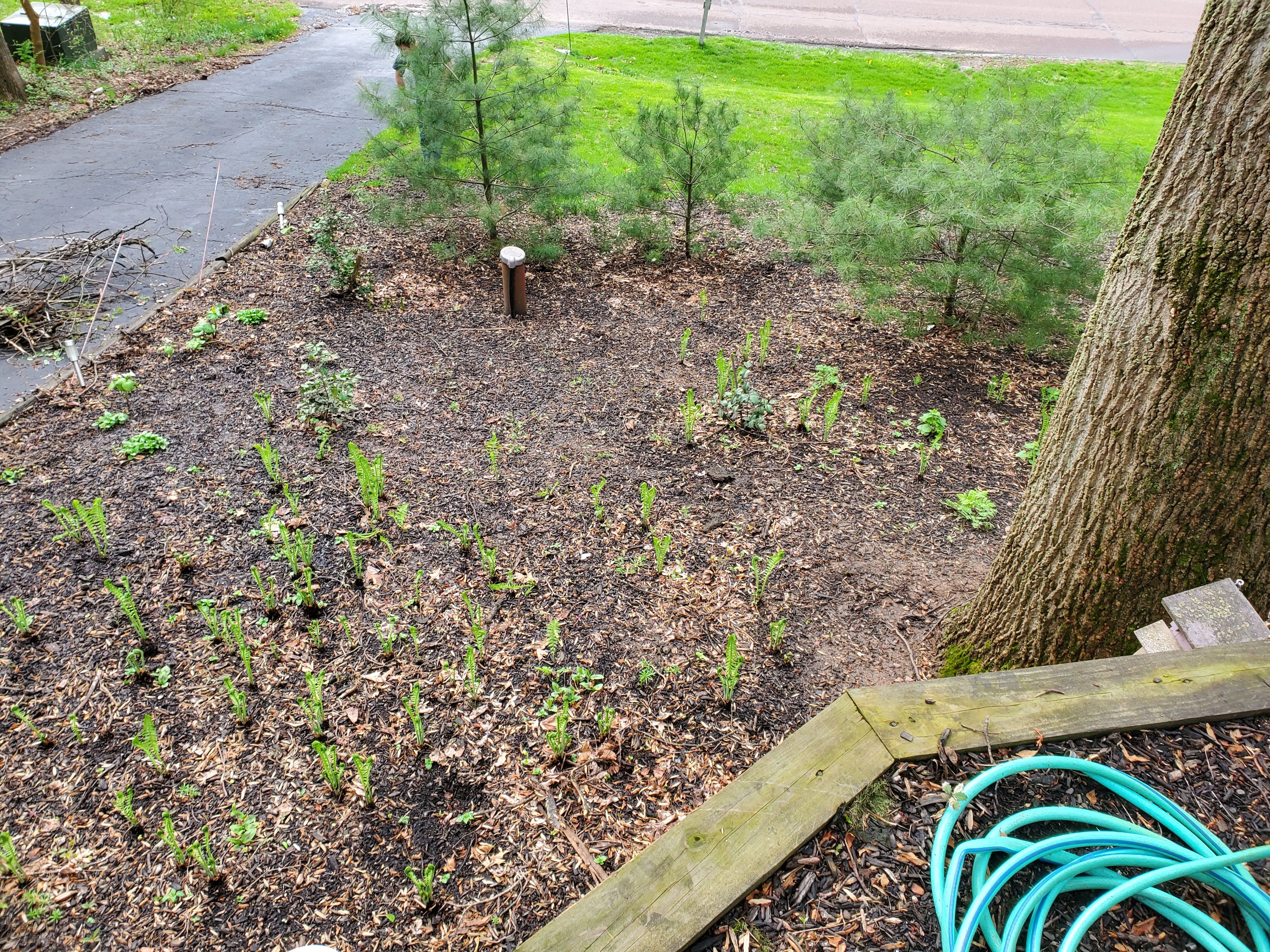  for Down Home Landscaping in Stillwater, PA