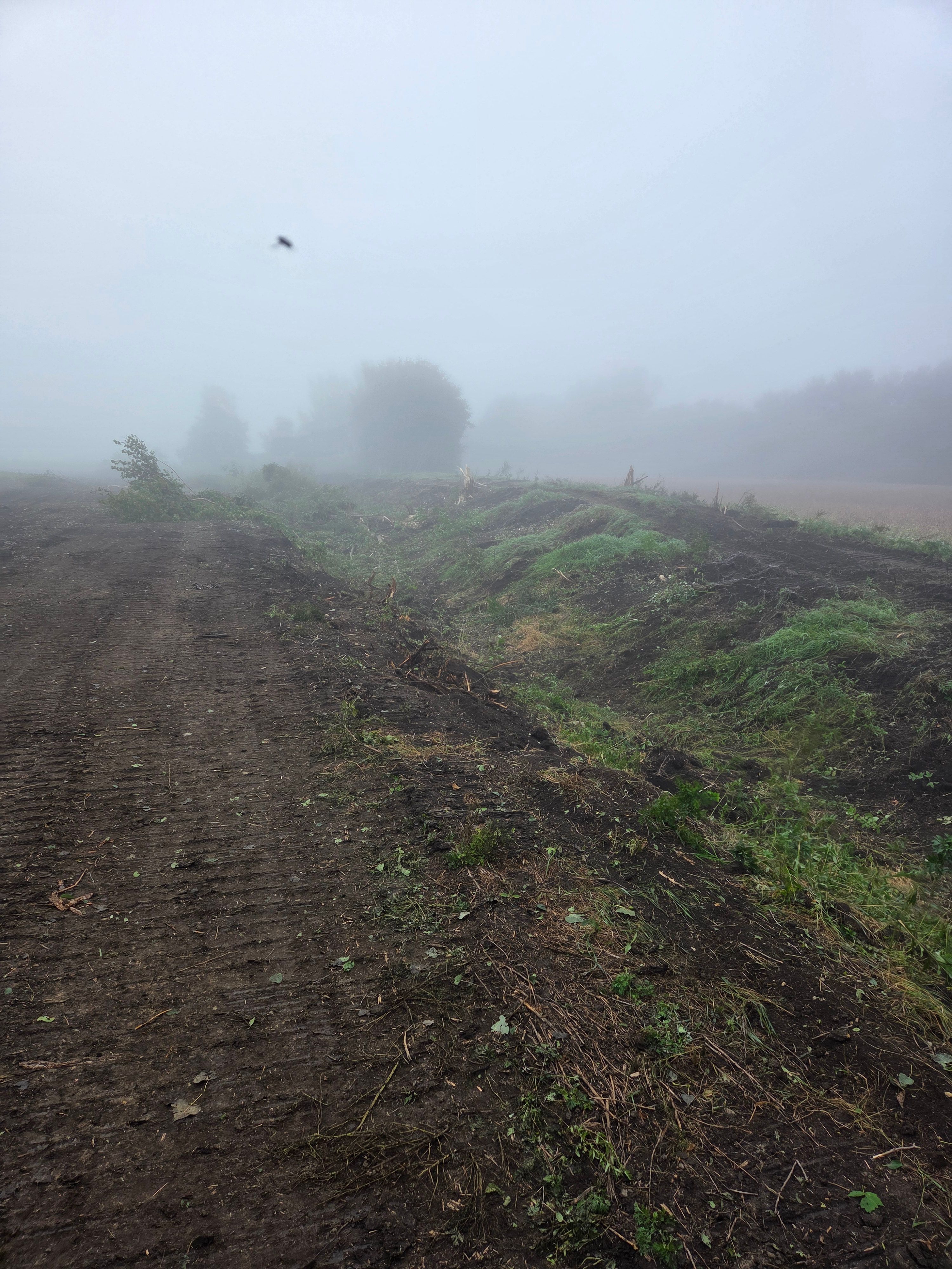  for Matejcek Excavating in Breckenridge, MN