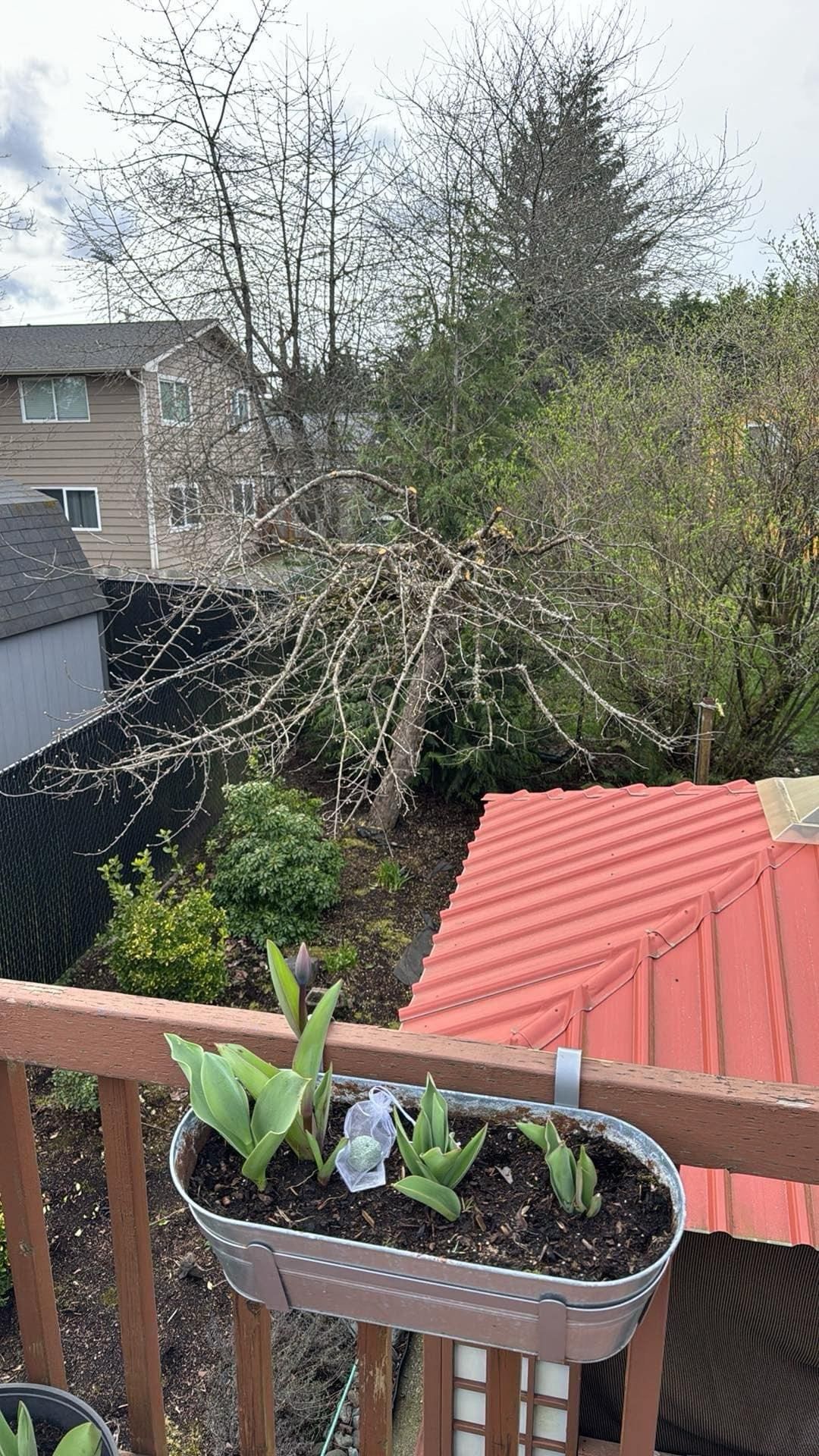  for Avenscapes NW, LLC in Getchell , WA