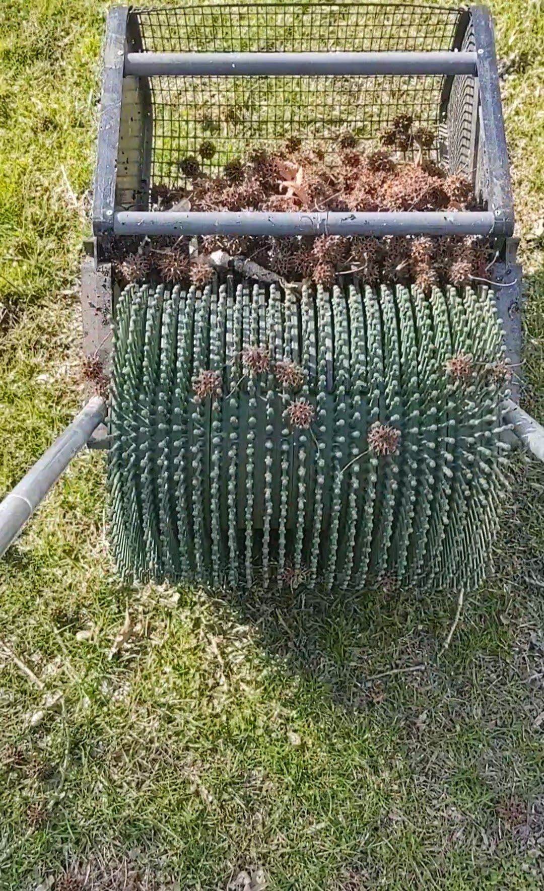  for The Grass Guys™ in Evansville, IN