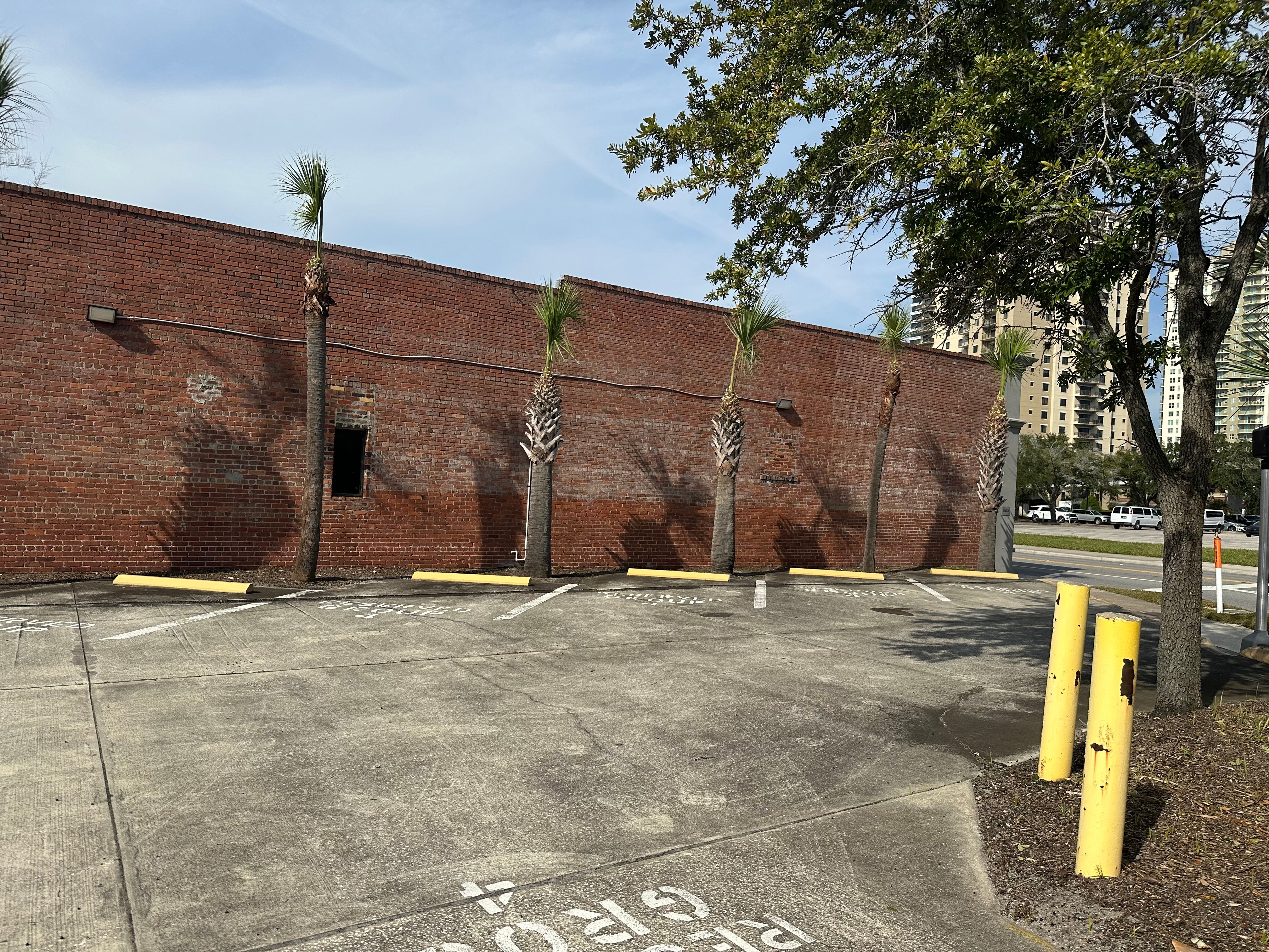 All Photos for All of the Above Landscaping in Orange Park, FL